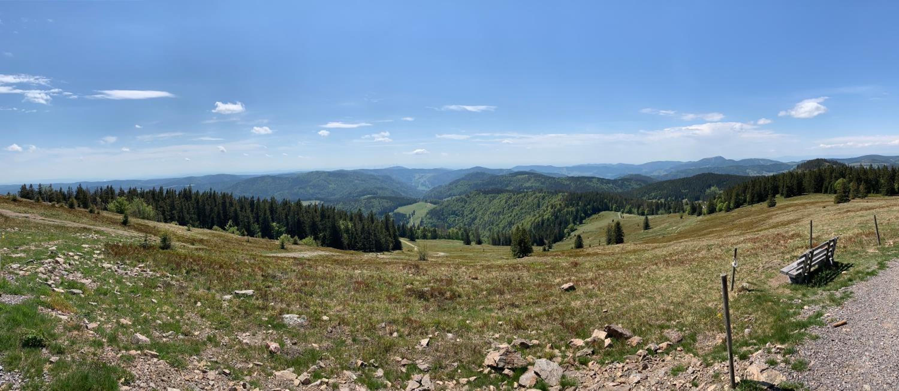 Feldberg Lounge - Residenz Grafenmatt