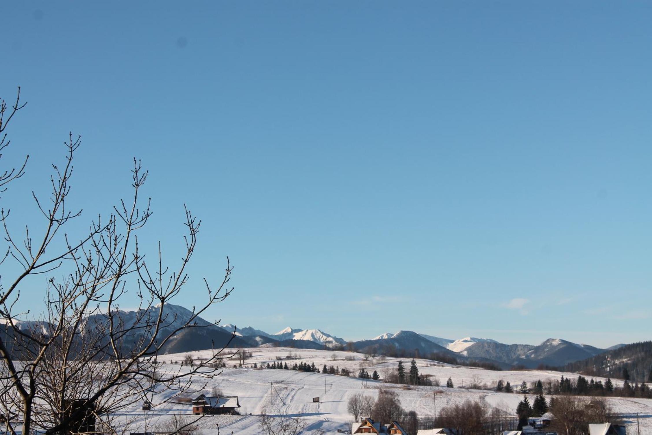 Willa Grzesiczek z widokiem na Tatry view 4