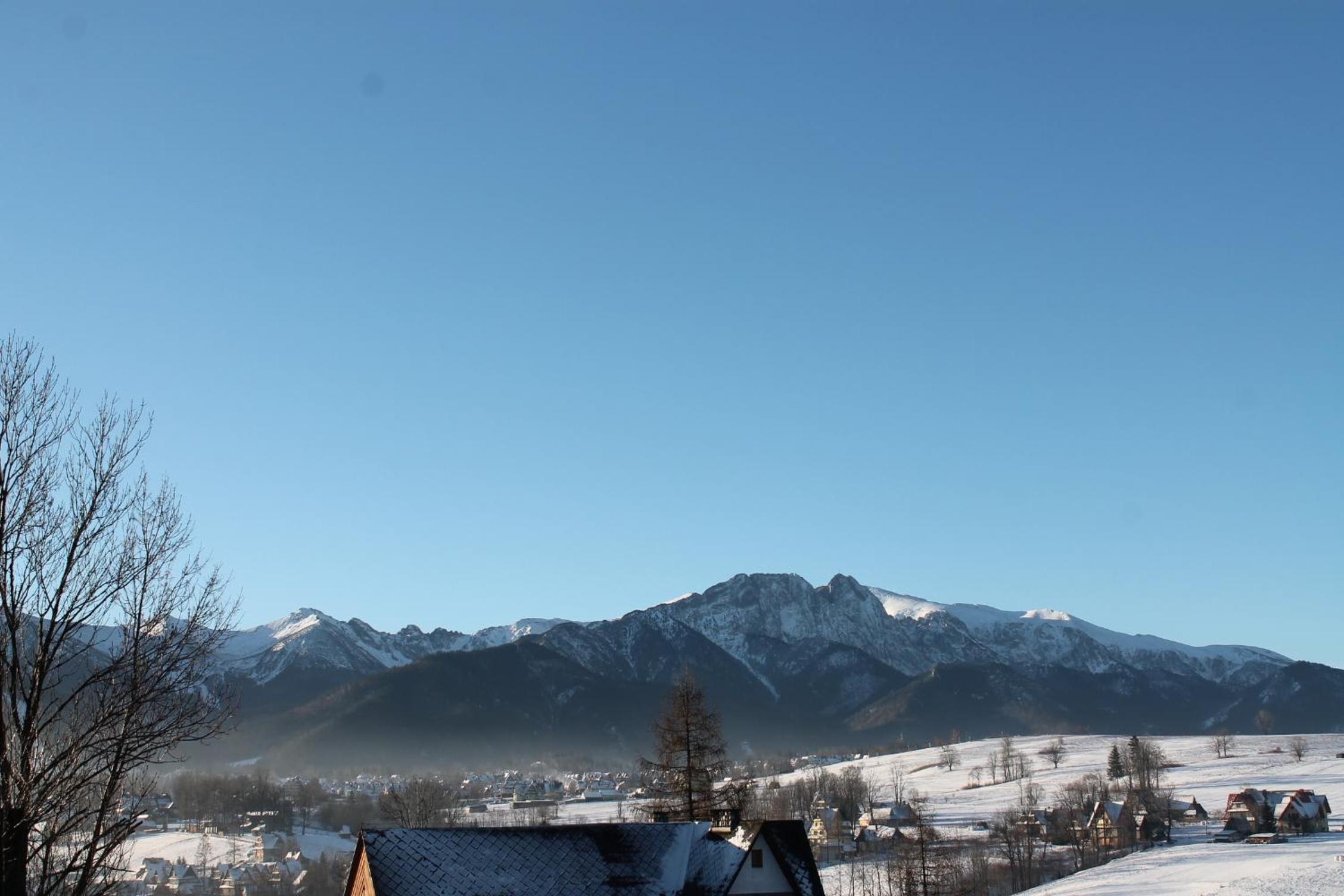 Willa Grzesiczek z widokiem na Tatry view 5