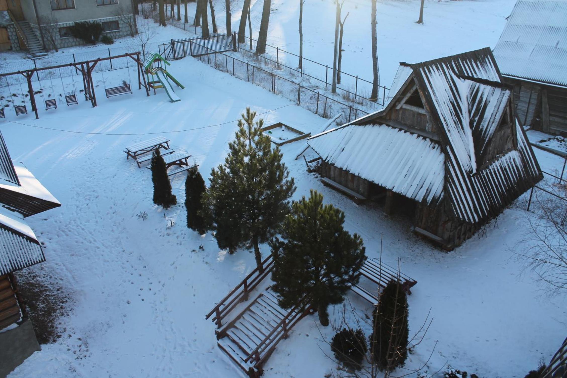 Photo 11