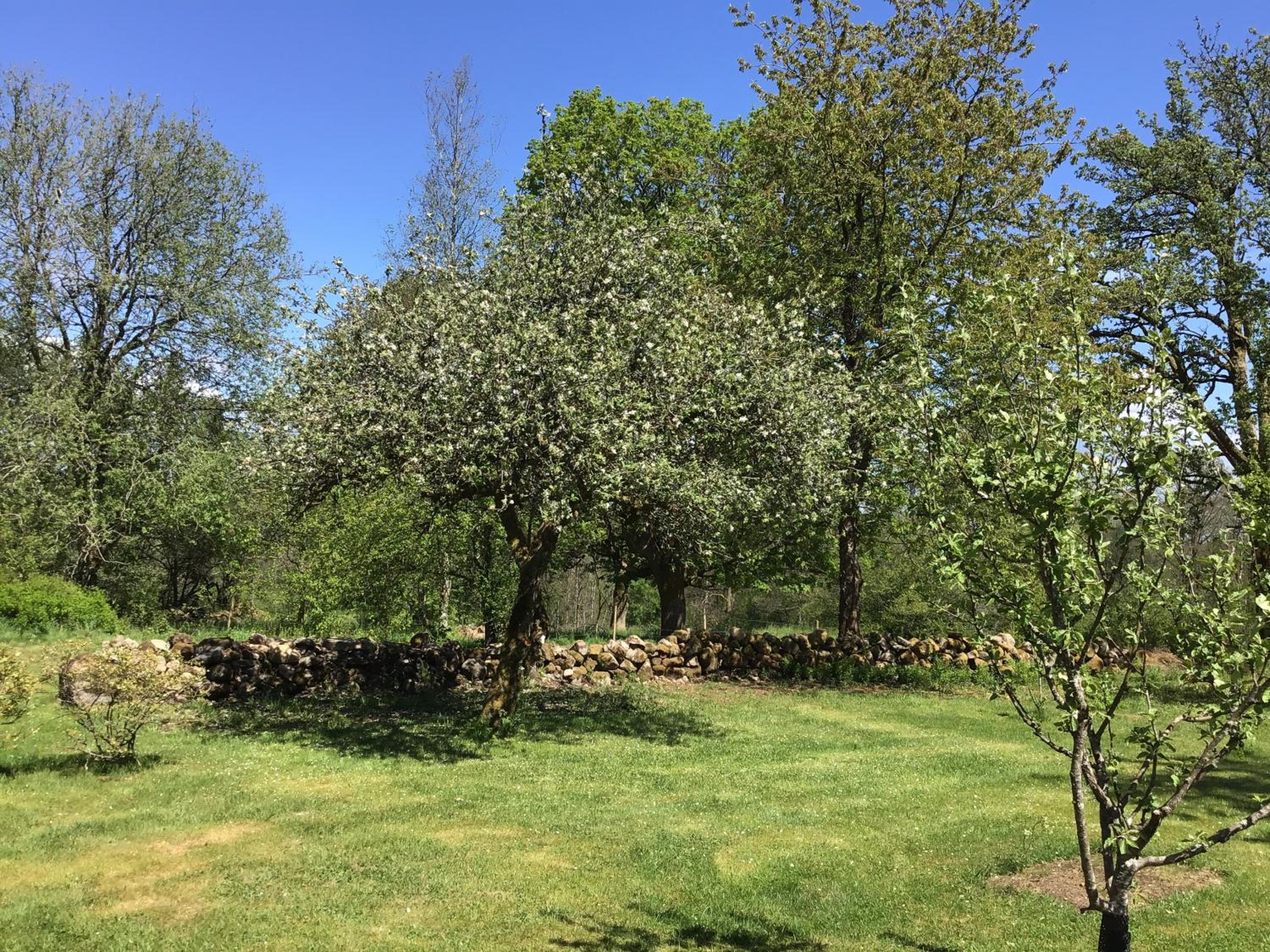 Photo 26