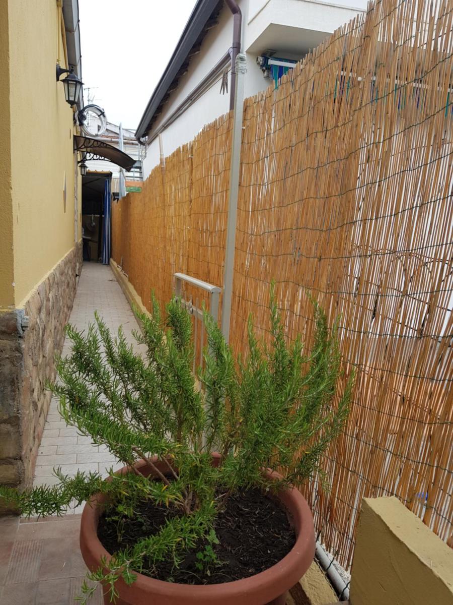 Photo 39