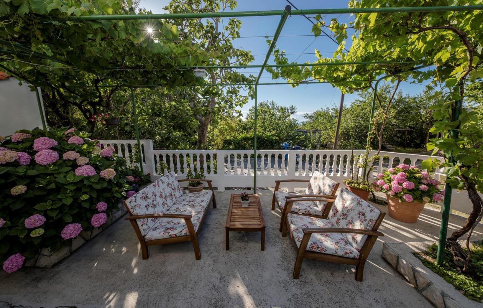 Holiday House Predrag view 5
