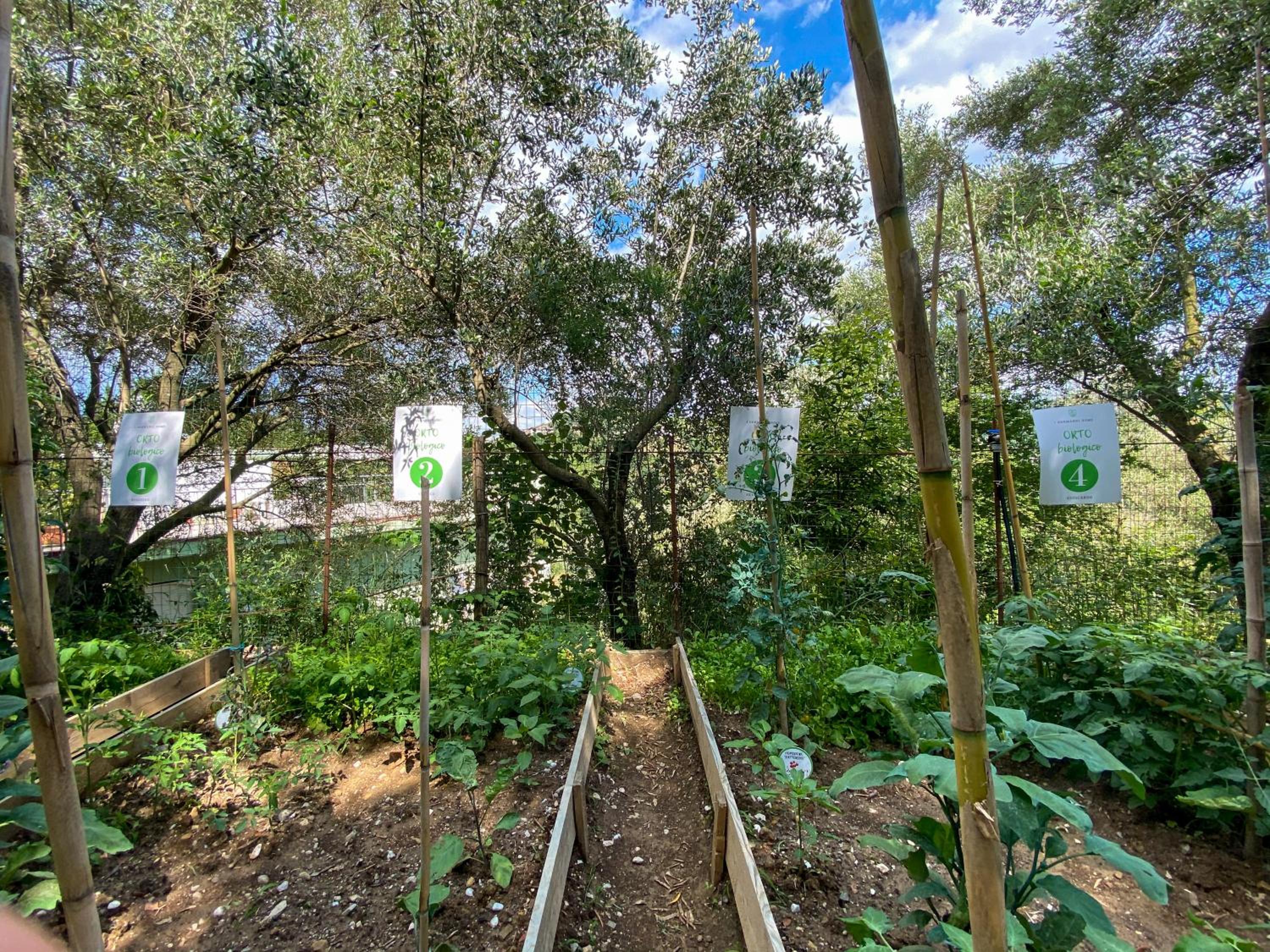 Tenuta dei Normanni