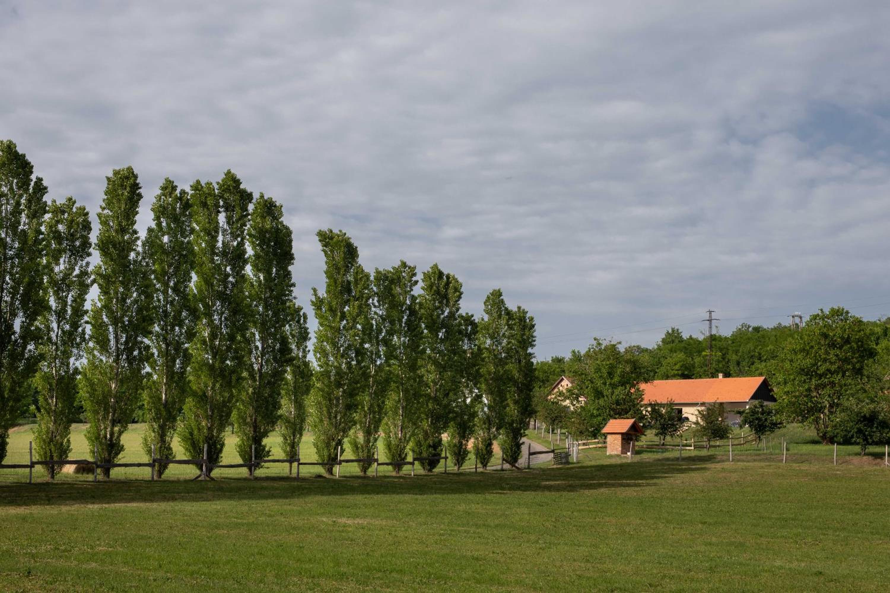 Photo 76