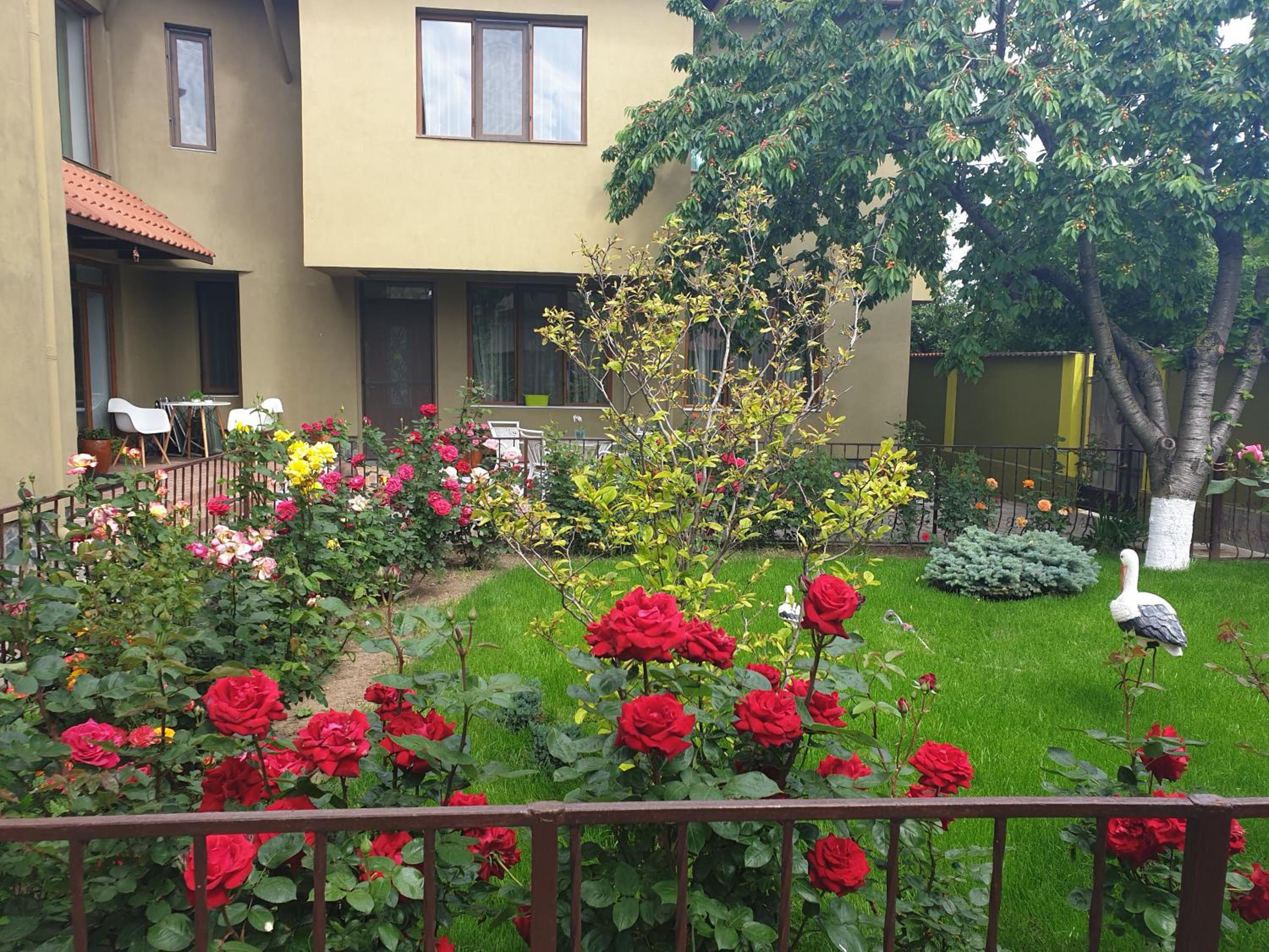 Photo 6