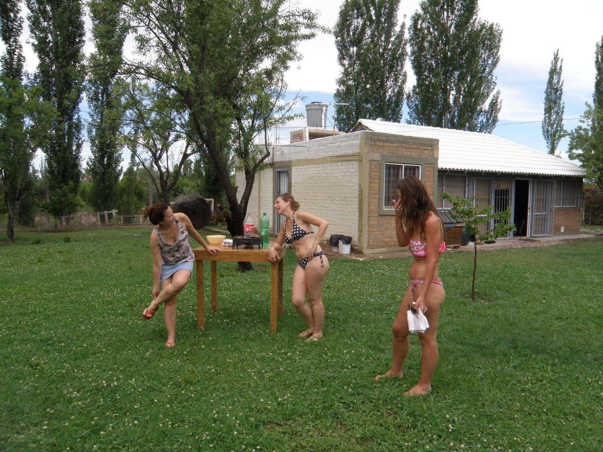 Photo 142