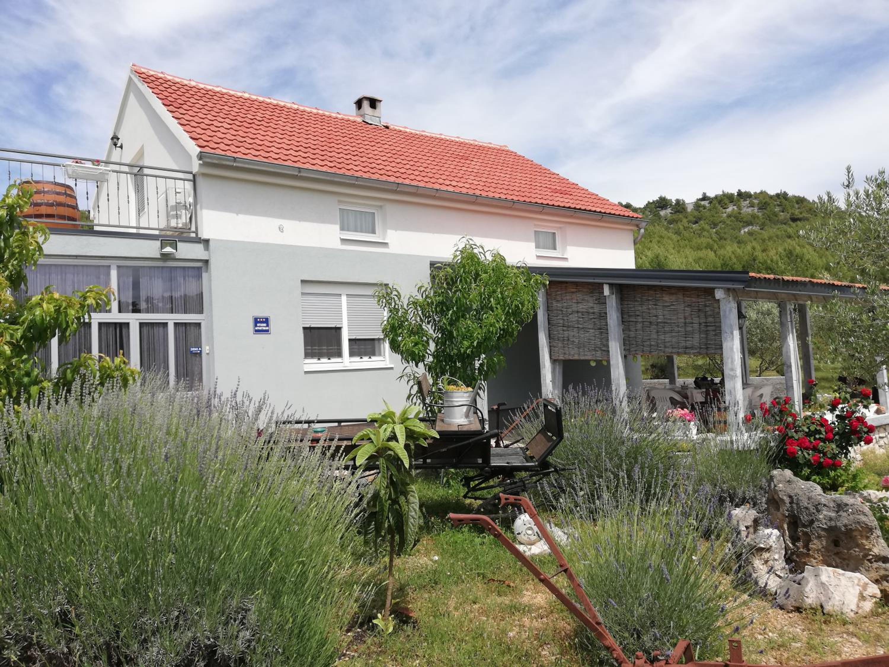 Apartmani Goga view 2