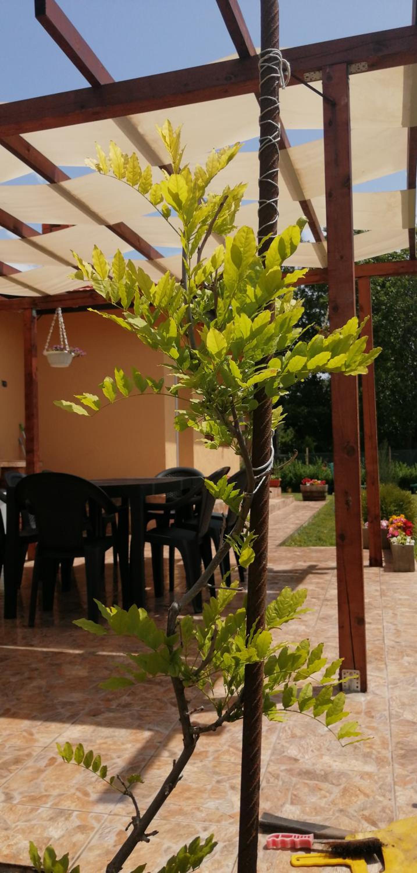 Vyara Holiday Home