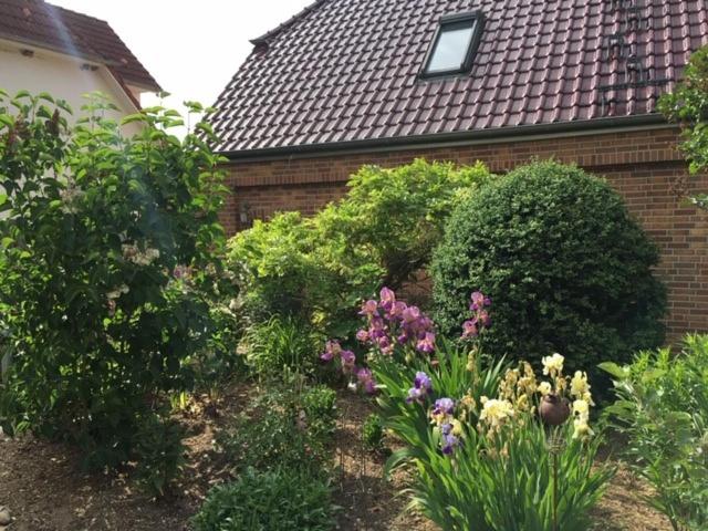 Photo 33