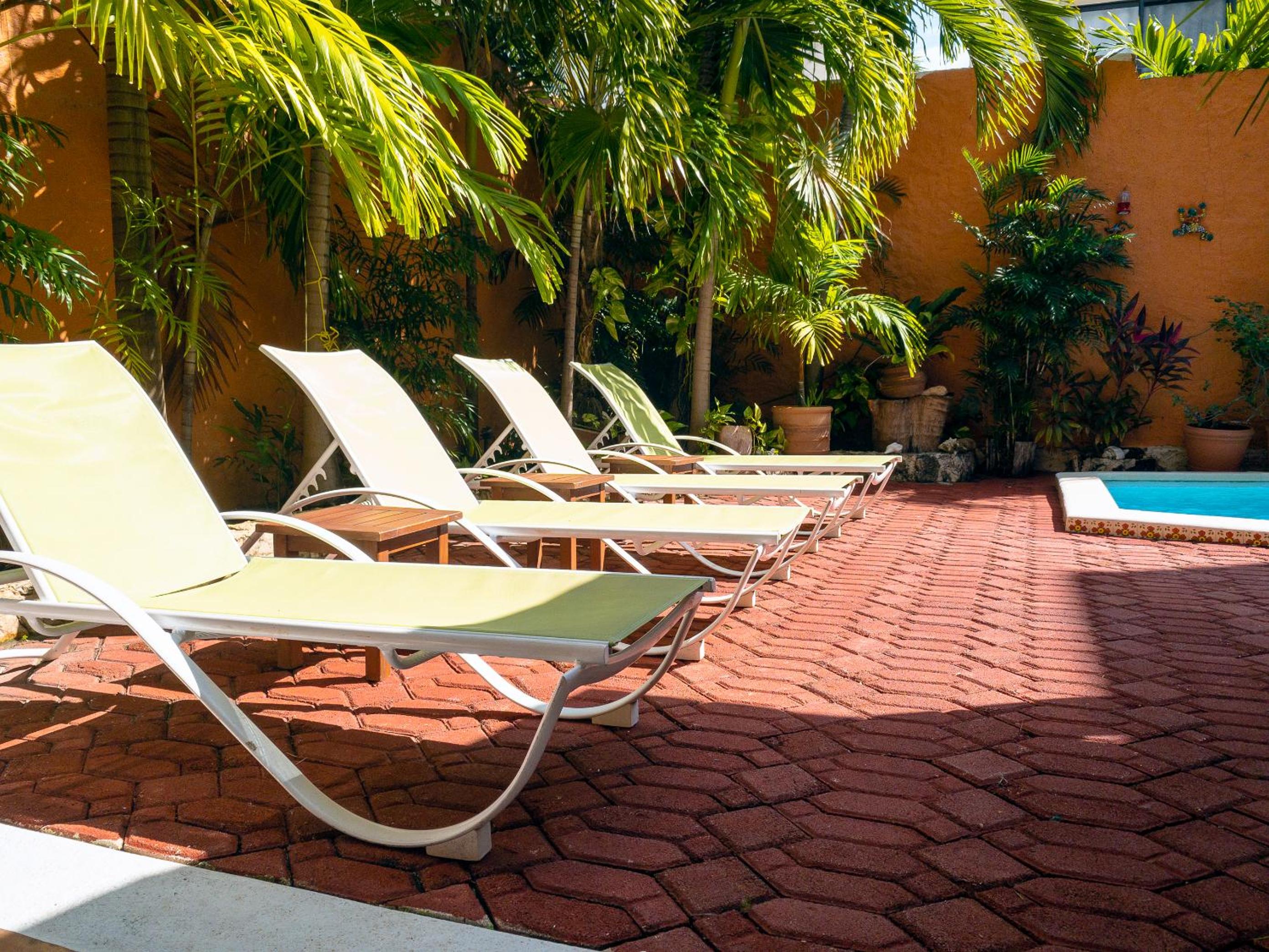 Casa Mulder - Steps to Beach Private Pool Ocean-View Roof