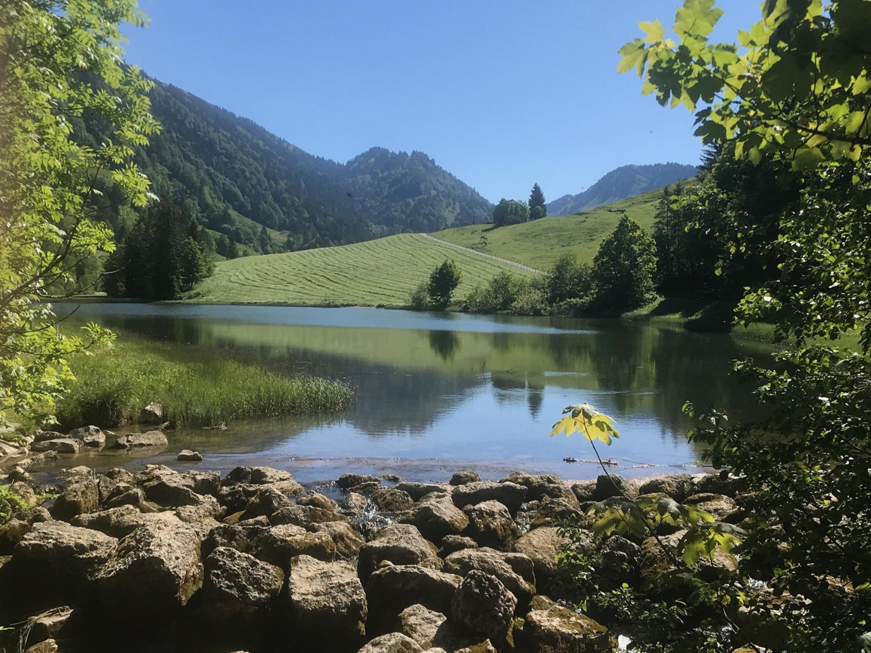 Pension Jägerheim