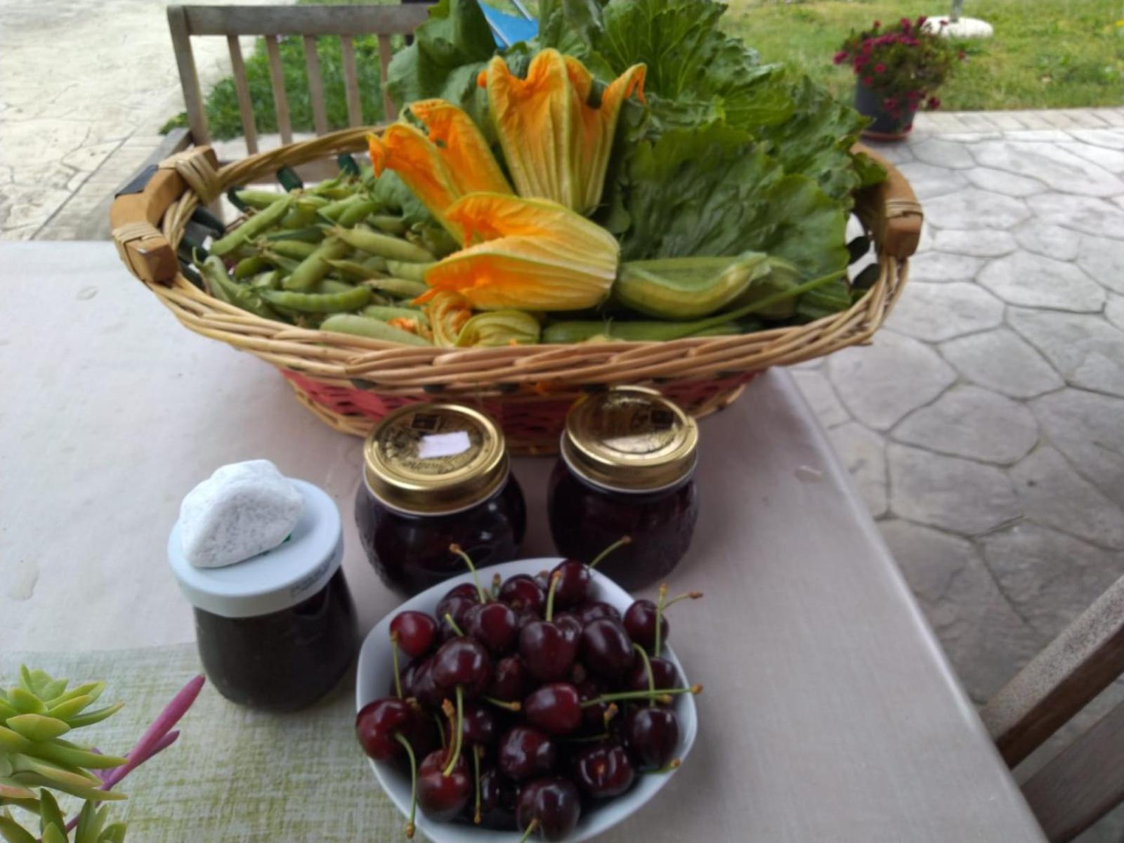 Agriturismo Allo Scoglio - Azienda Agricola