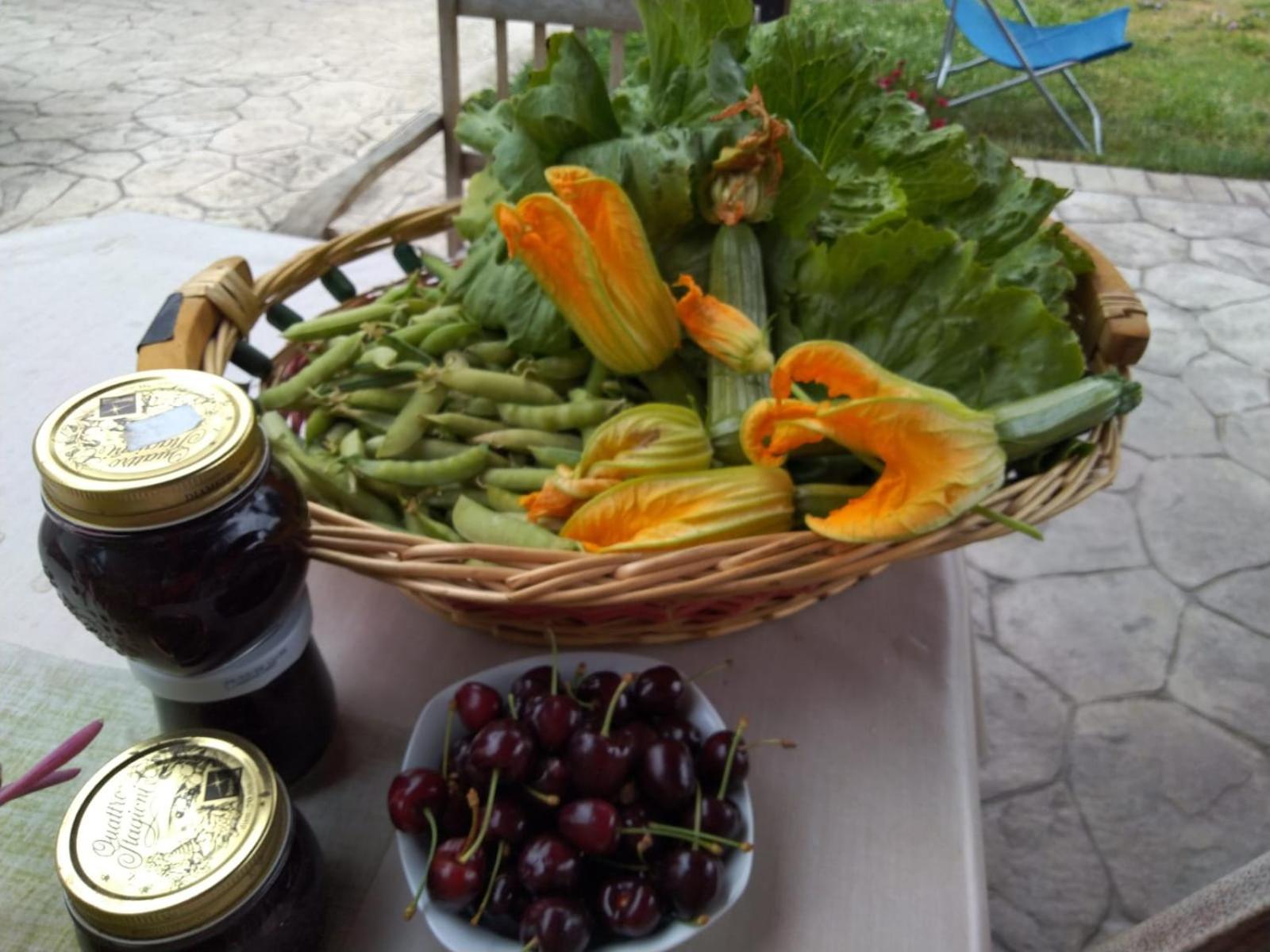 Agriturismo Allo Scoglio - Azienda Agricola