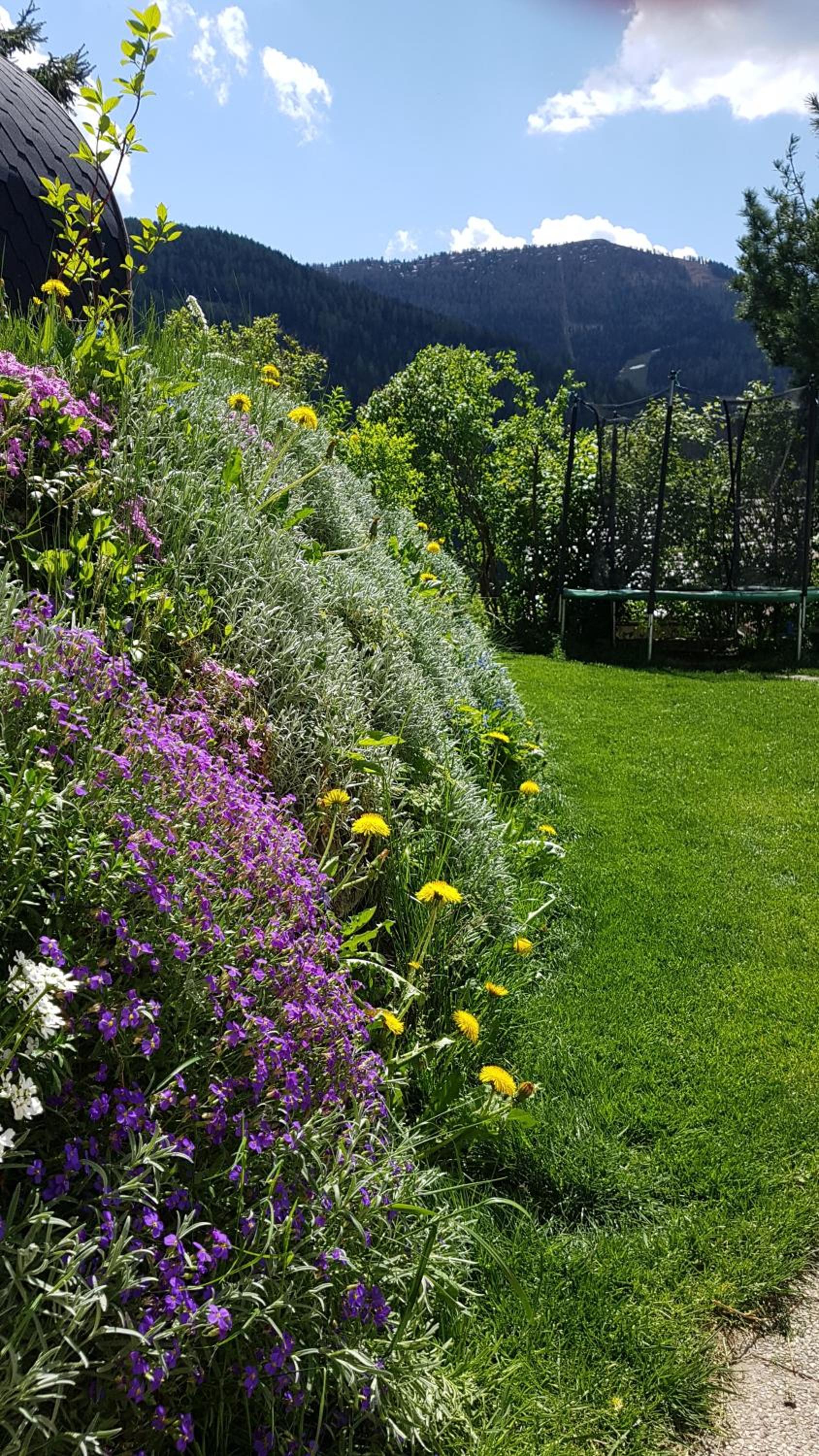 Residence Alba Montis