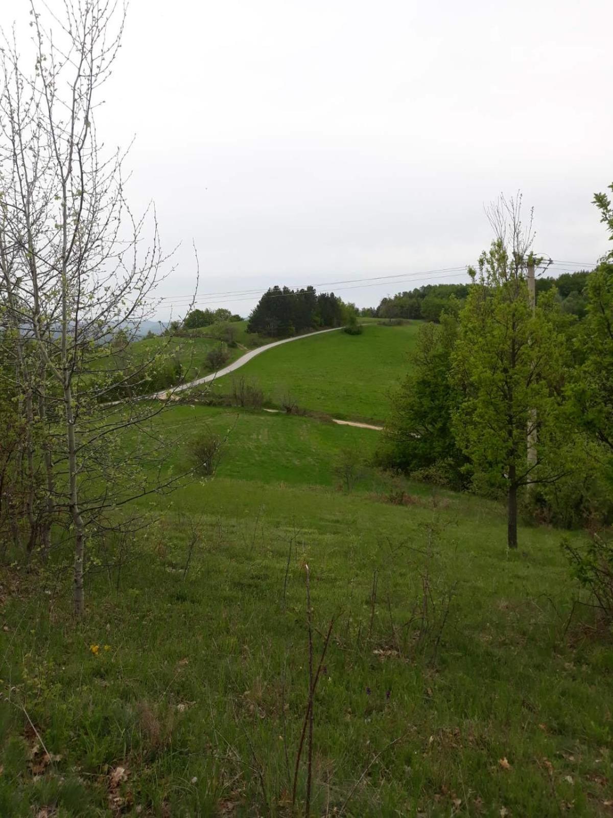 Photo 31