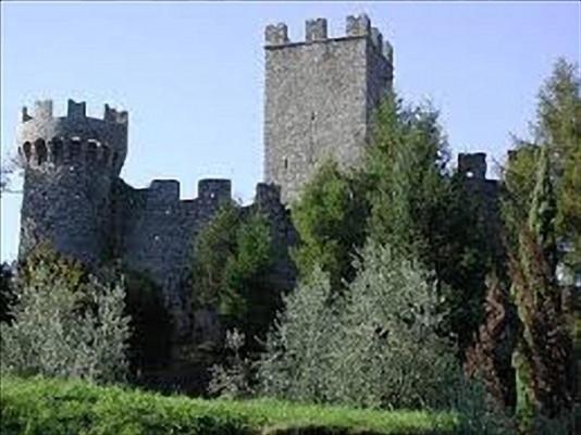 Photo 104