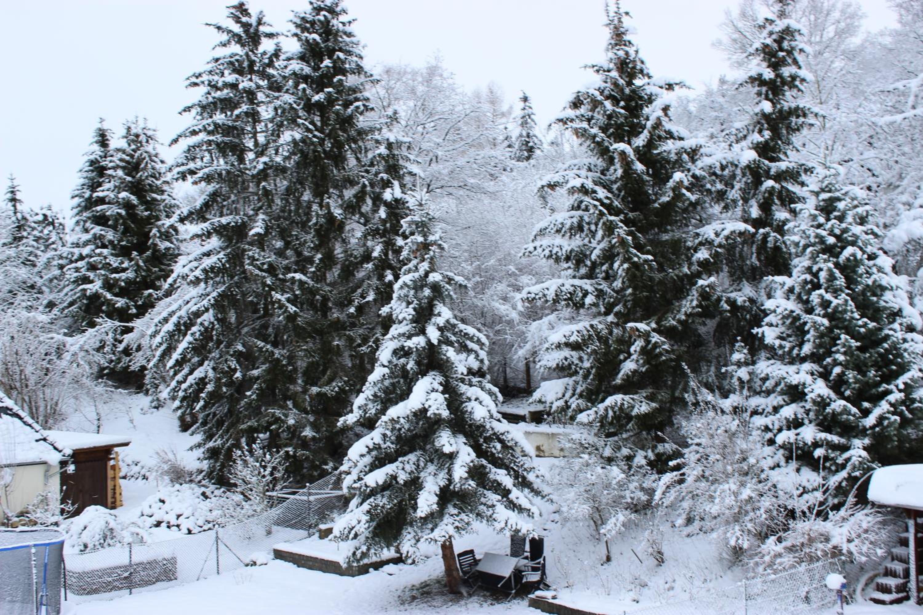 Gasthof und Pension Frankenthal - garni