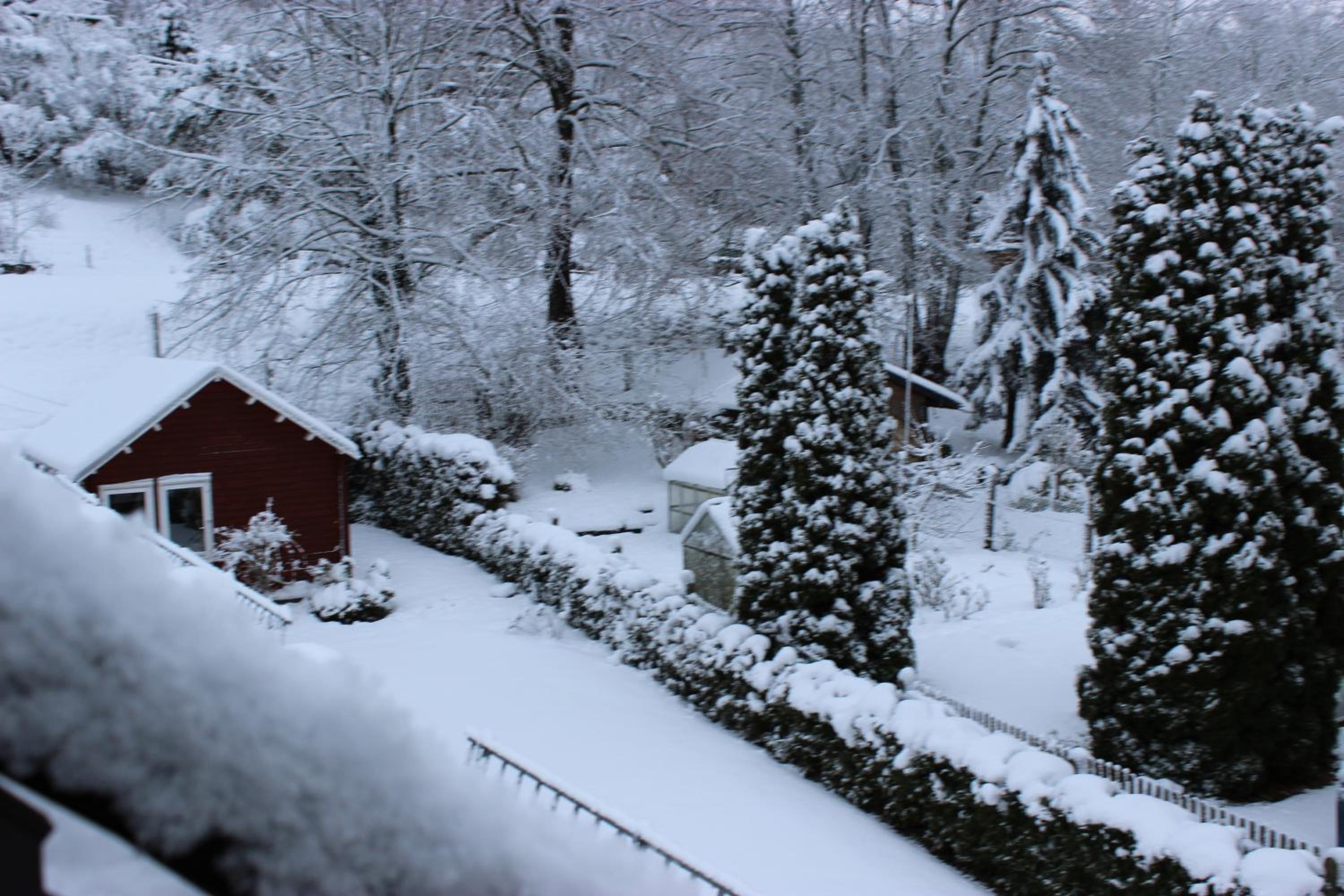 Gasthof und Pension Frankenthal - garni
