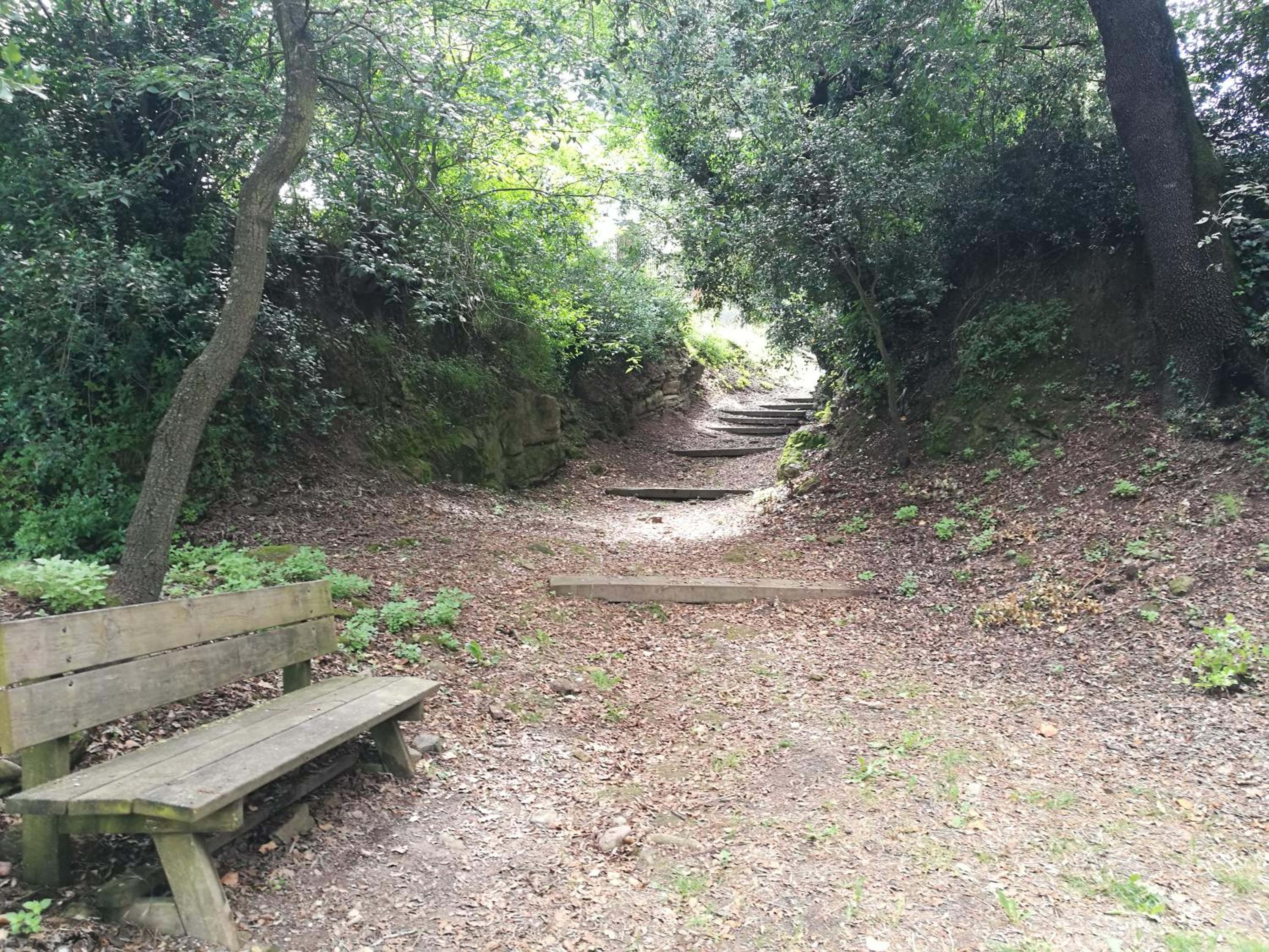 Photo 10