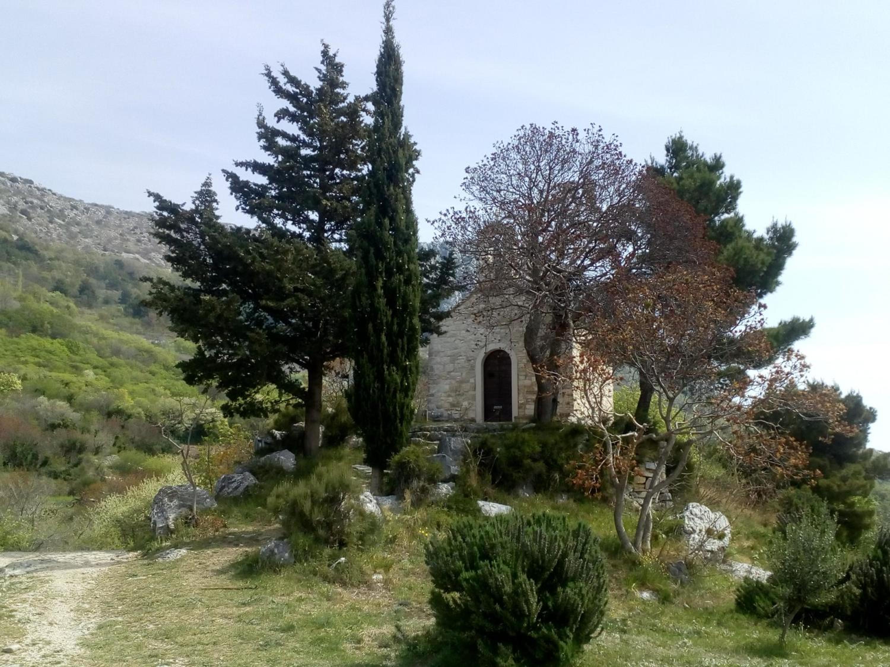 Photo 12