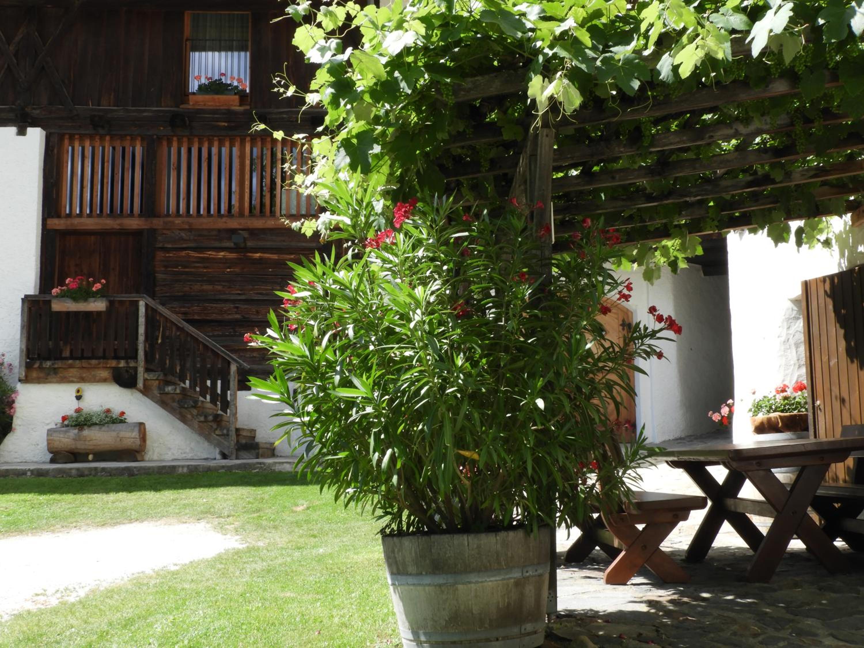 Strasserhof tenuta-Weingut photo 2