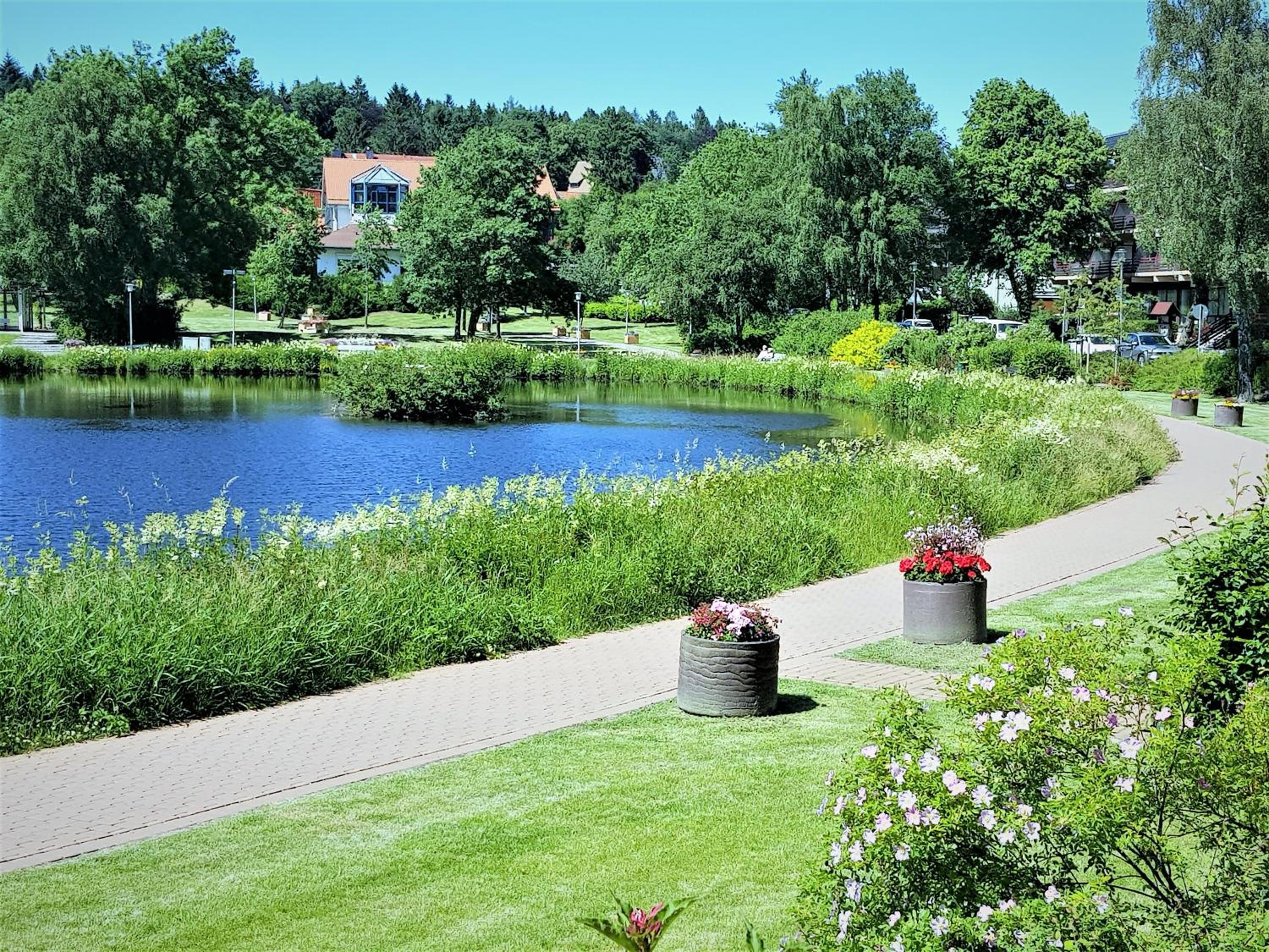 Grossdorf Ferienwohnung Waldsuite im Harz