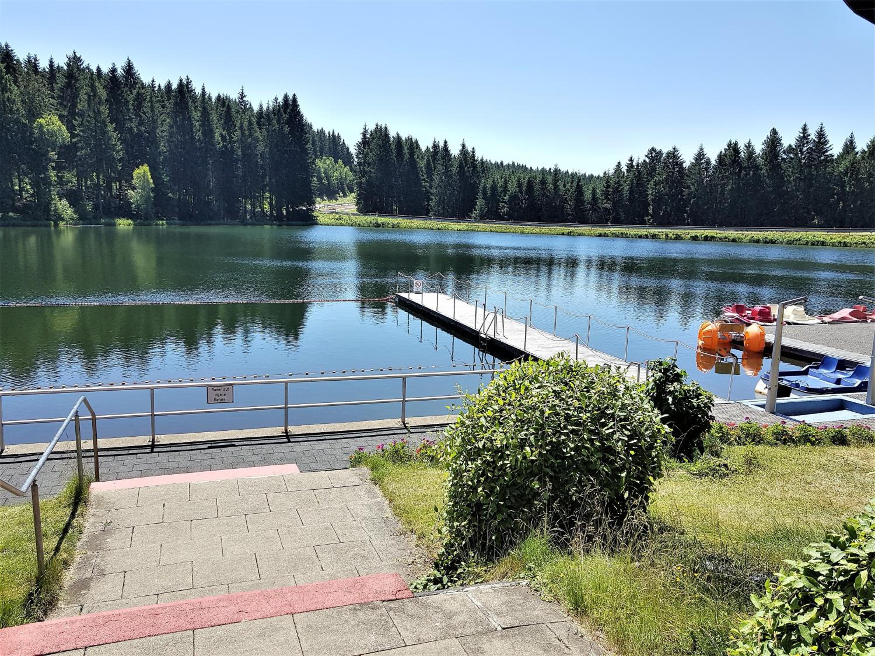 Grossdorf Ferienwohnung Waldsuite im Harz