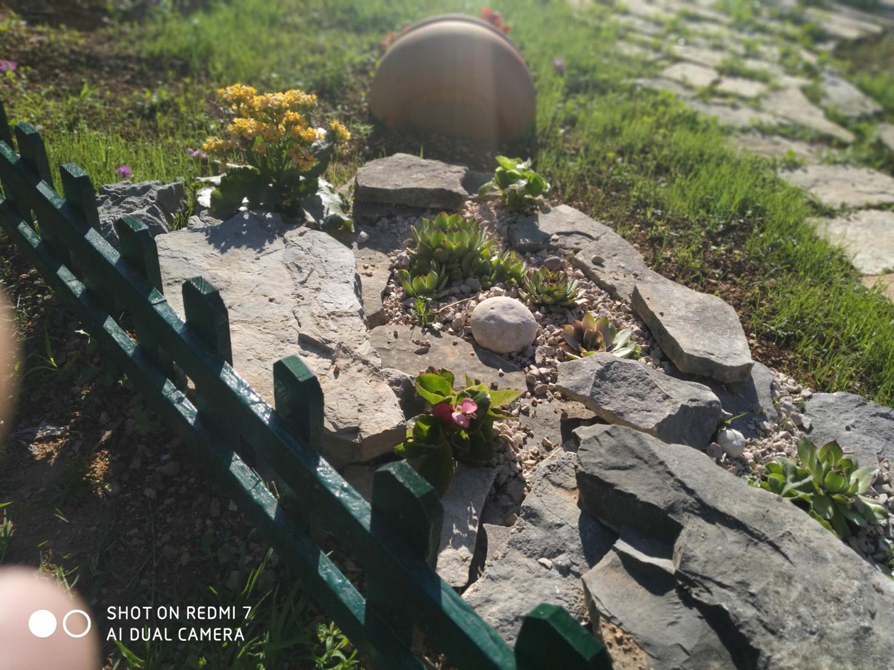 Photo 21
