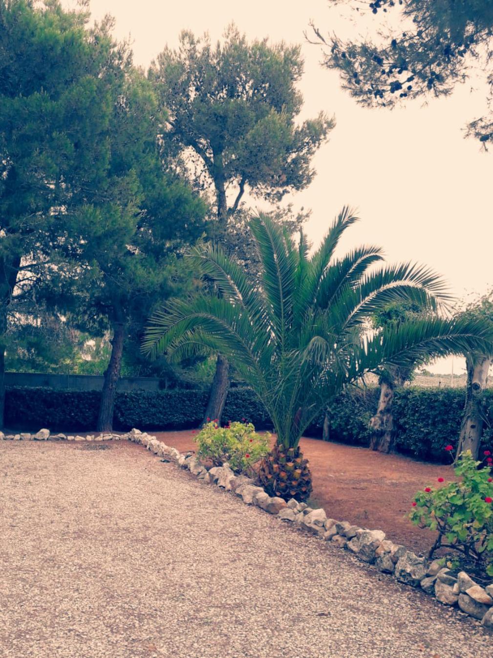 Casa Andromeda photo 5