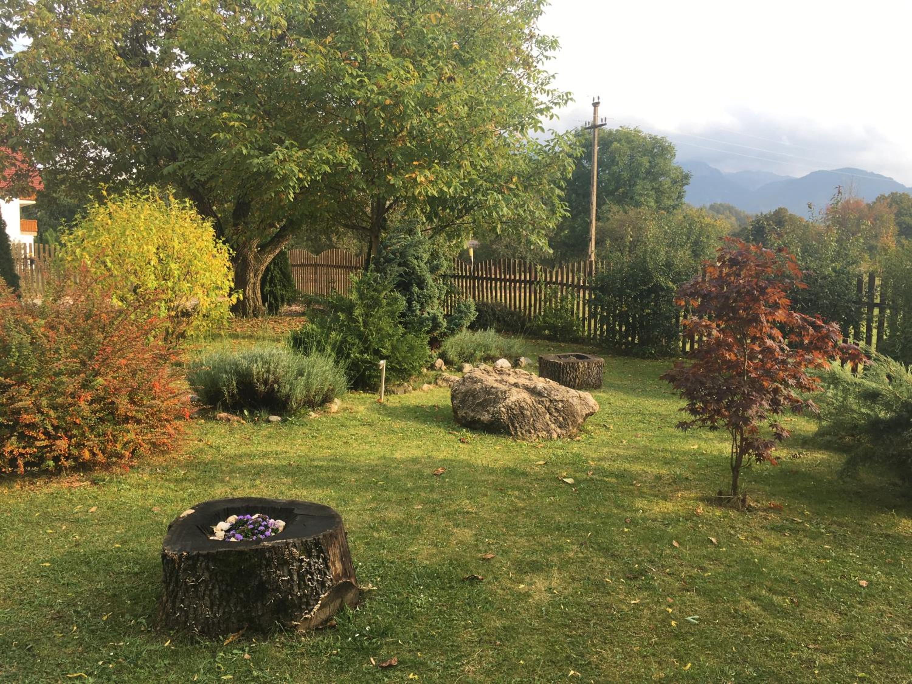 Photo 29