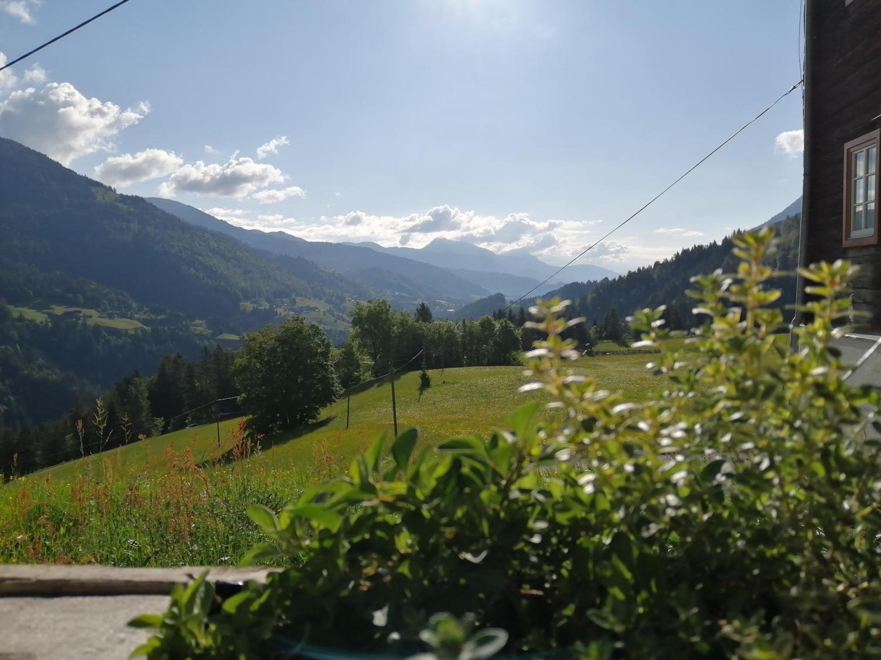 Gailerhof