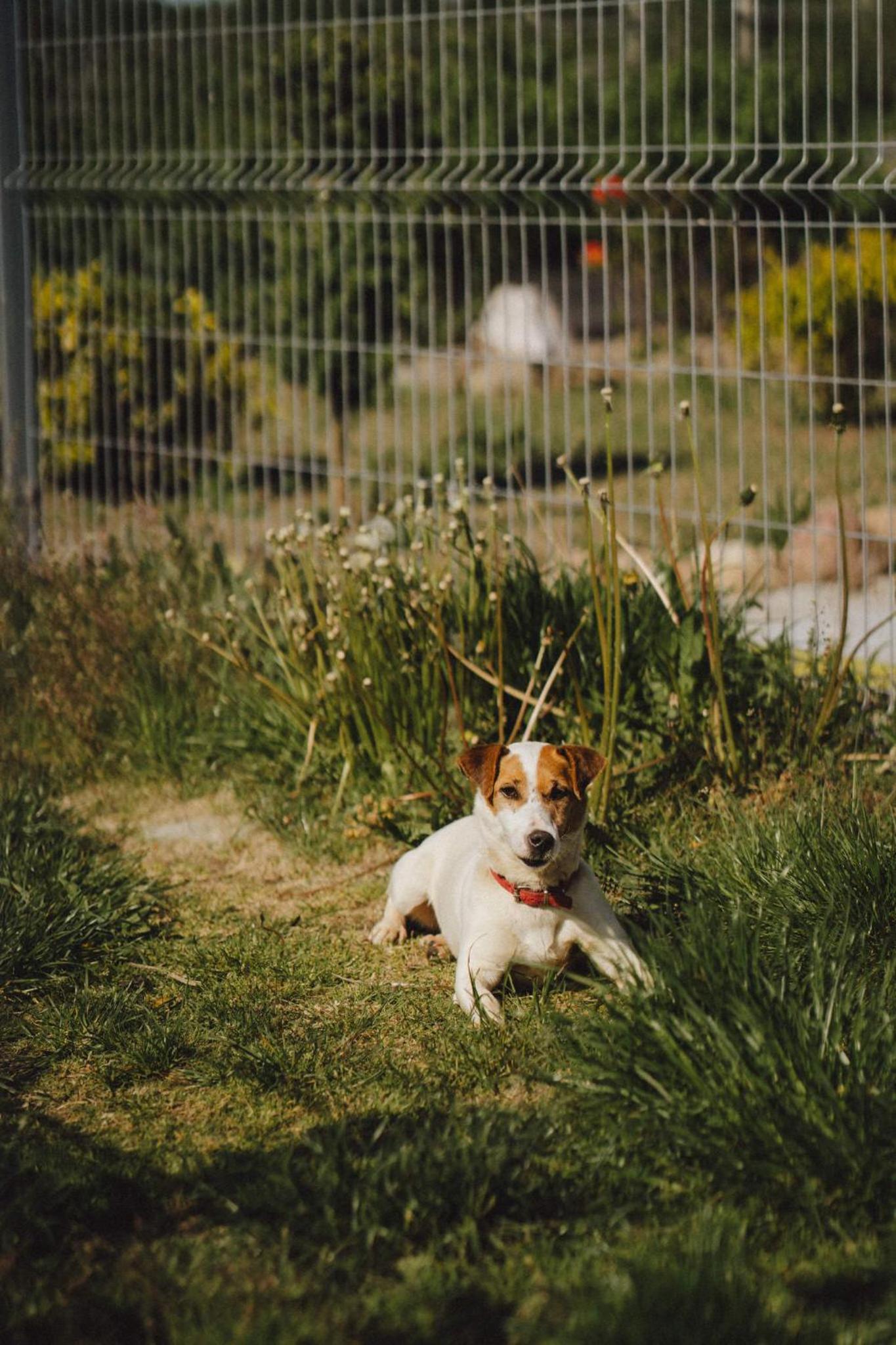 Photo 47