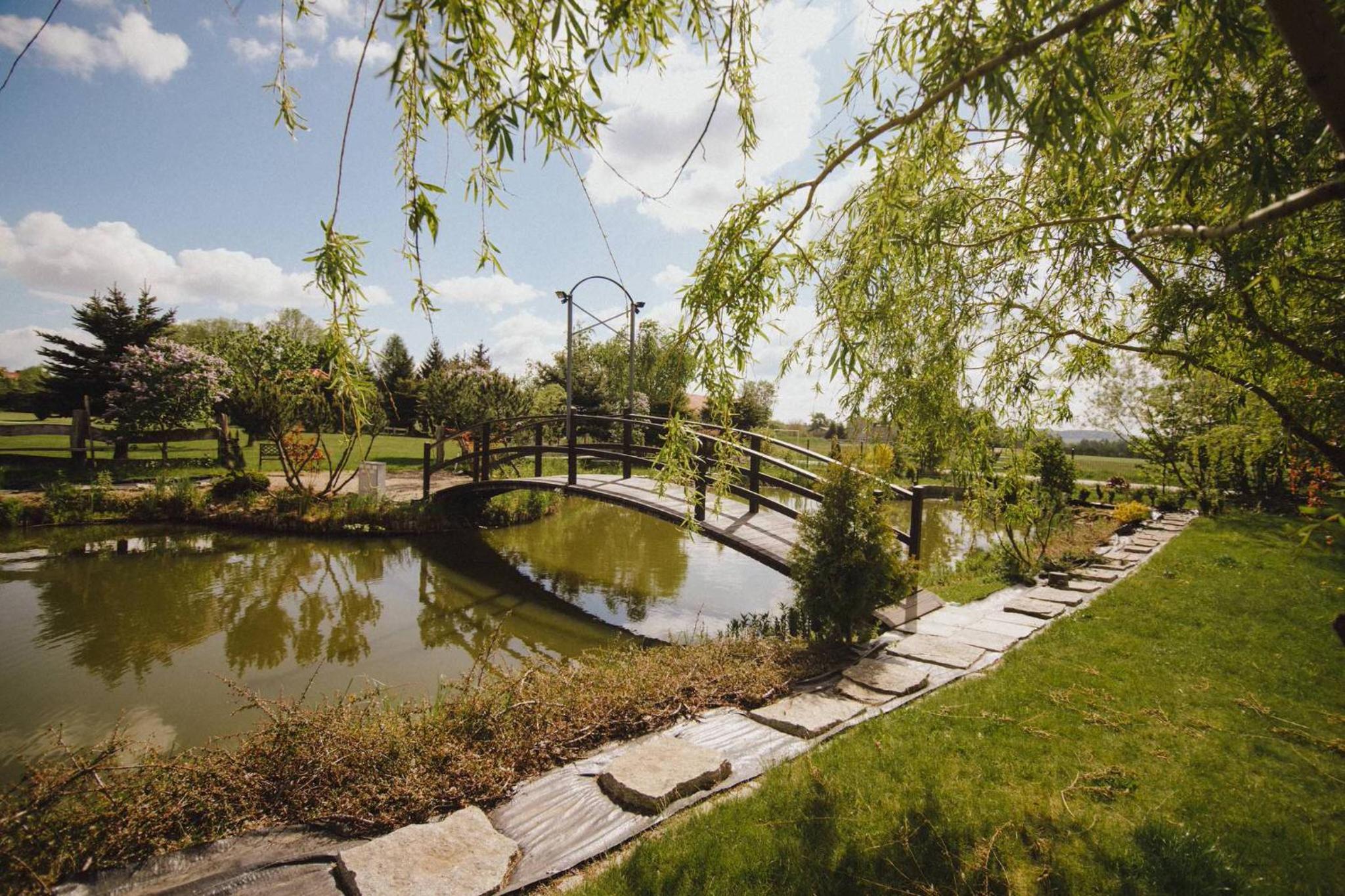 Photo 41