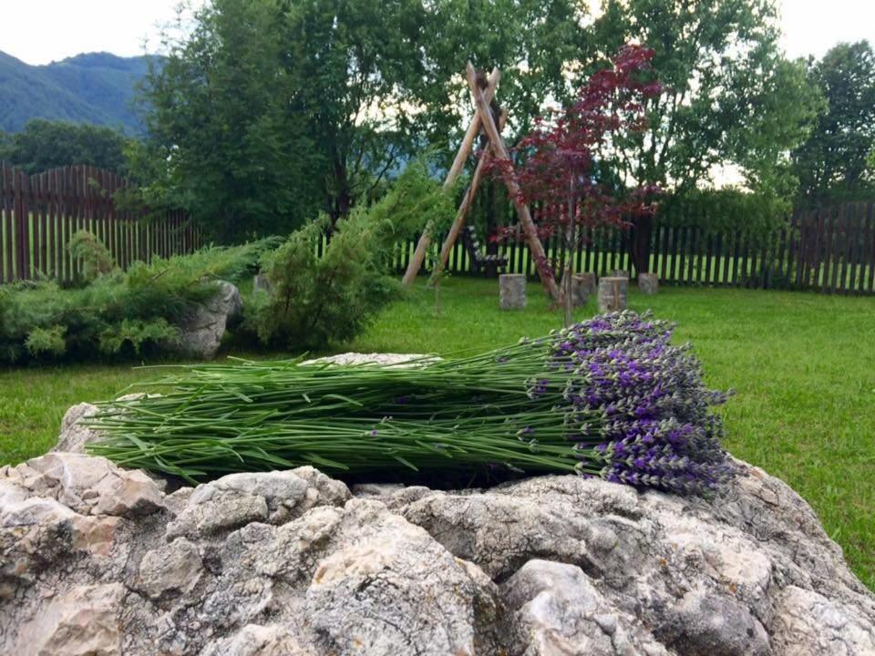 Photo 23