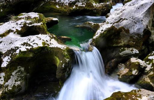 Photo 40