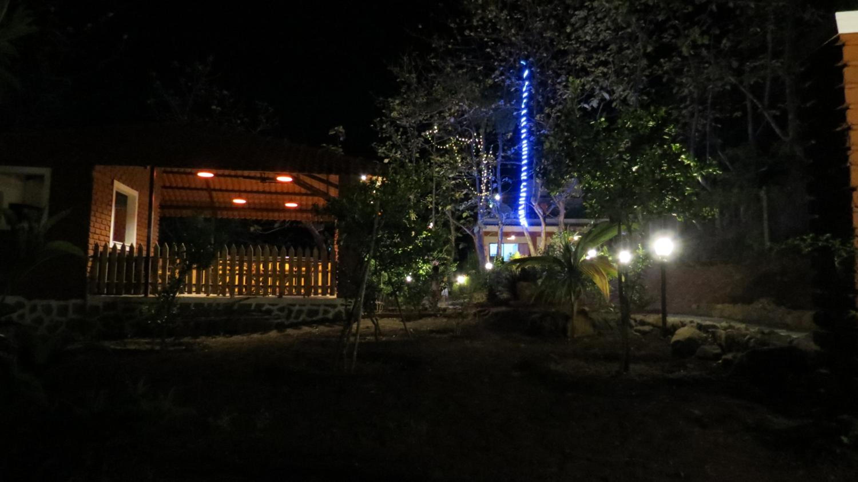 Photo 46
