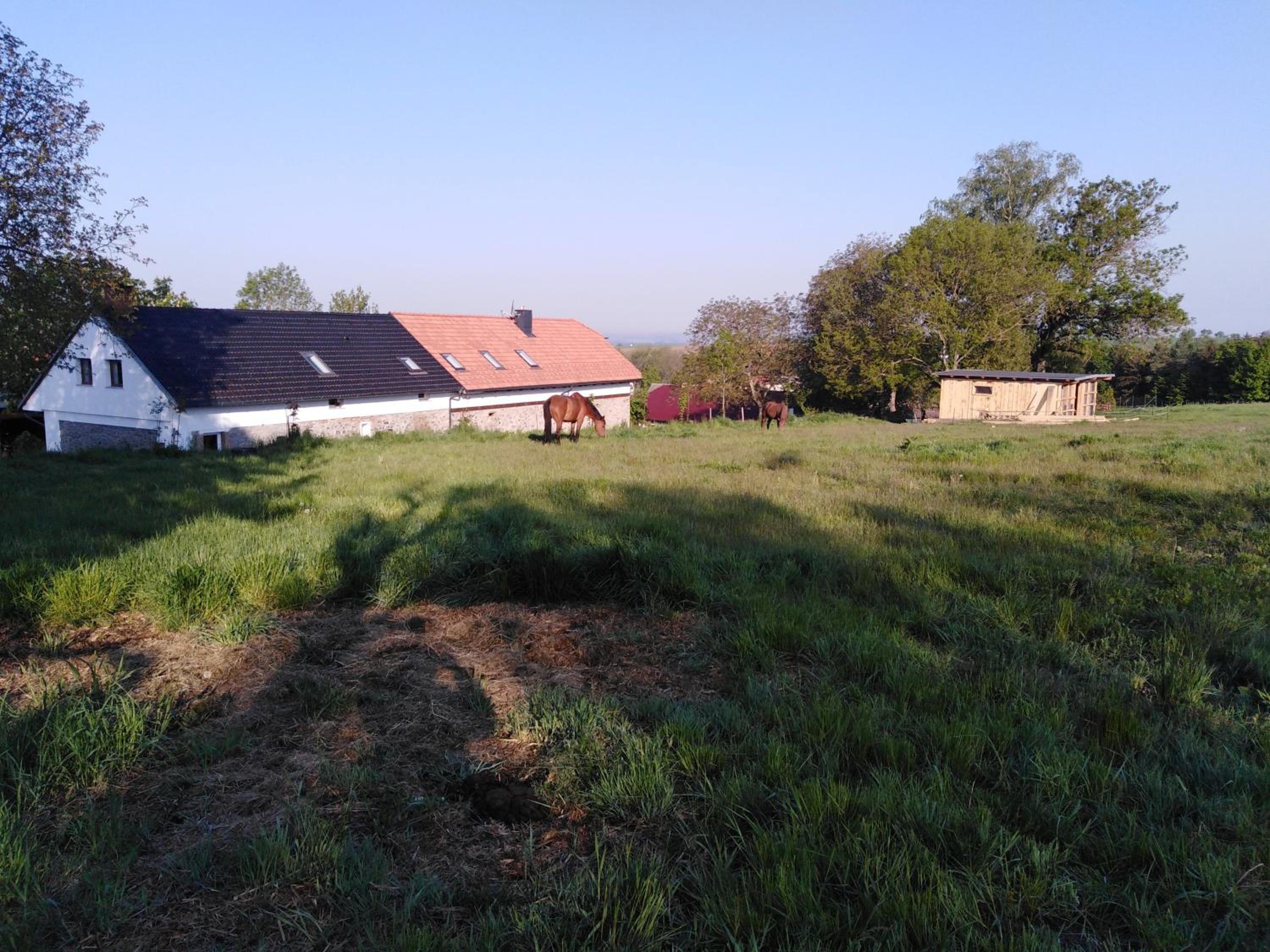 Čenovický dvůr