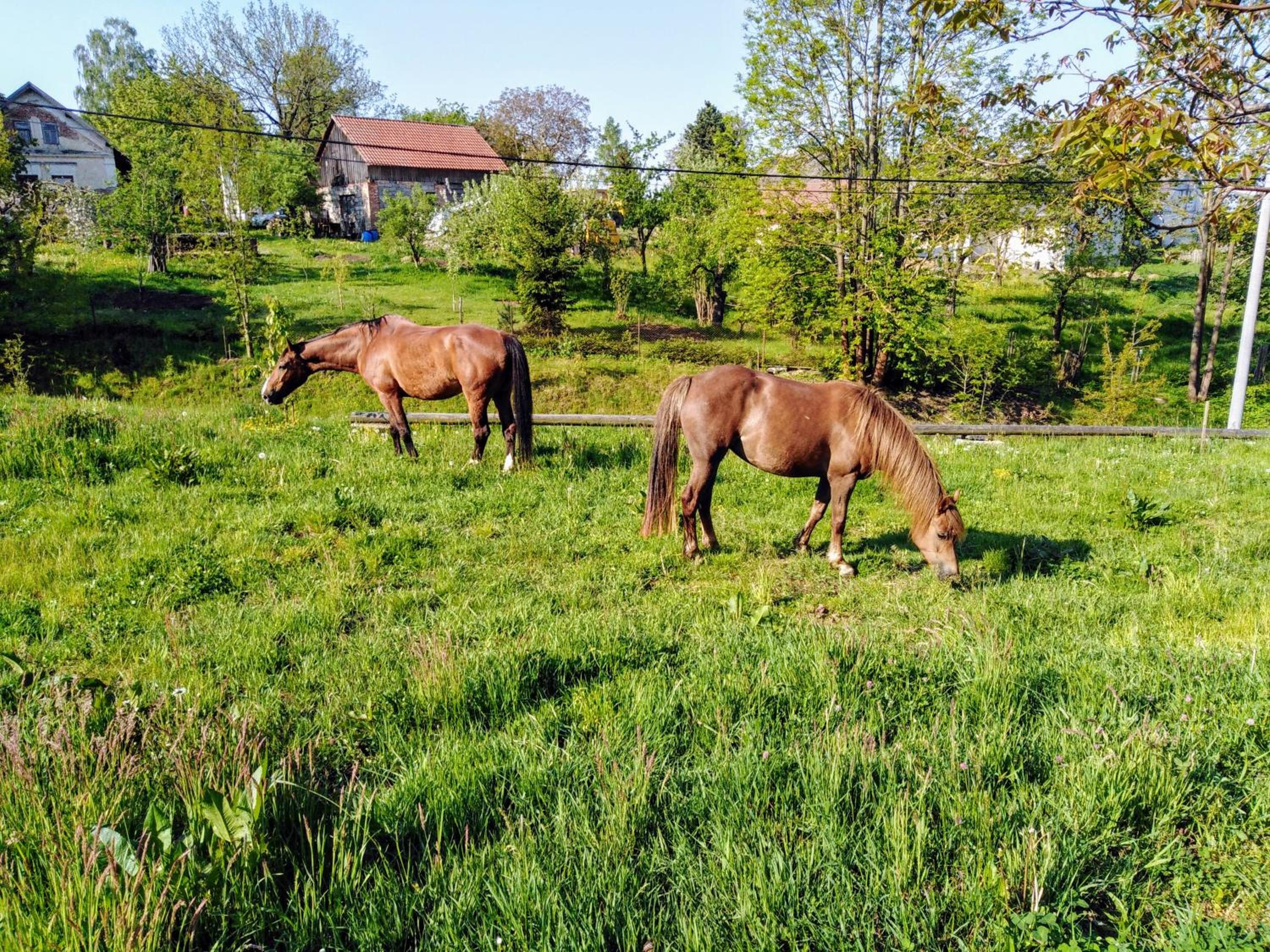 Čenovický dvůr