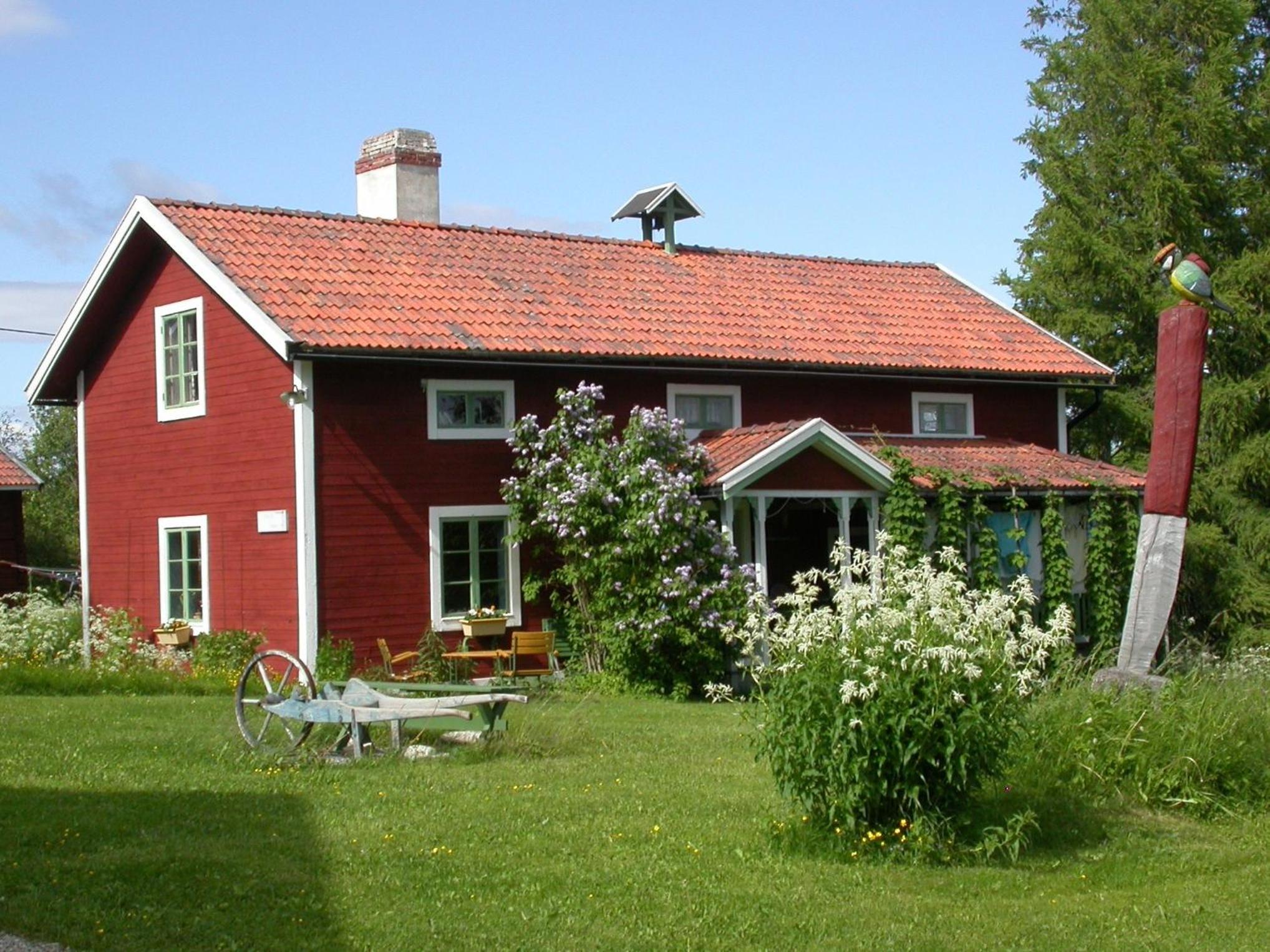 Photo 11