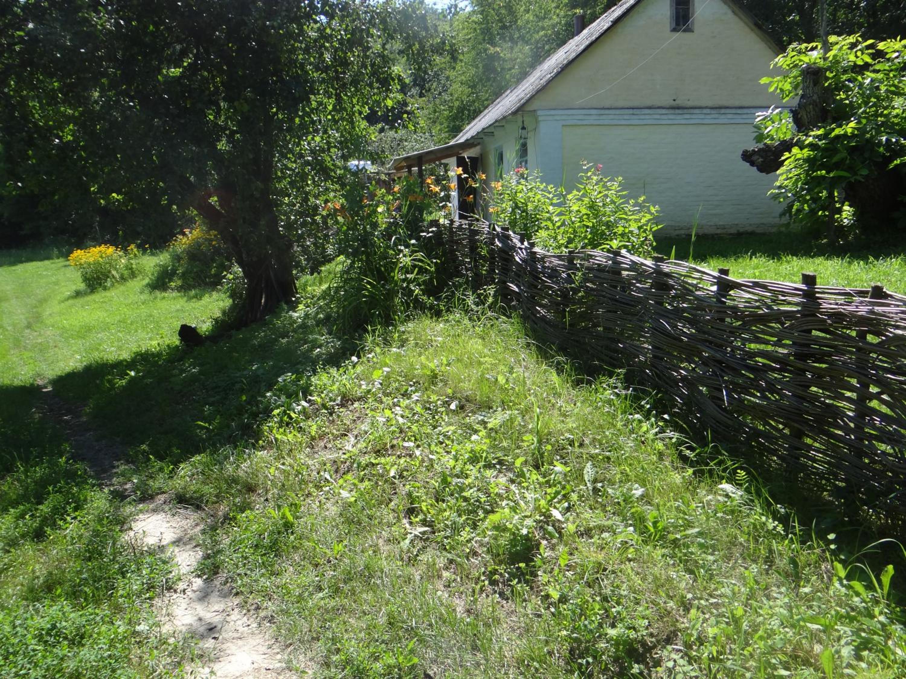 Photo 8