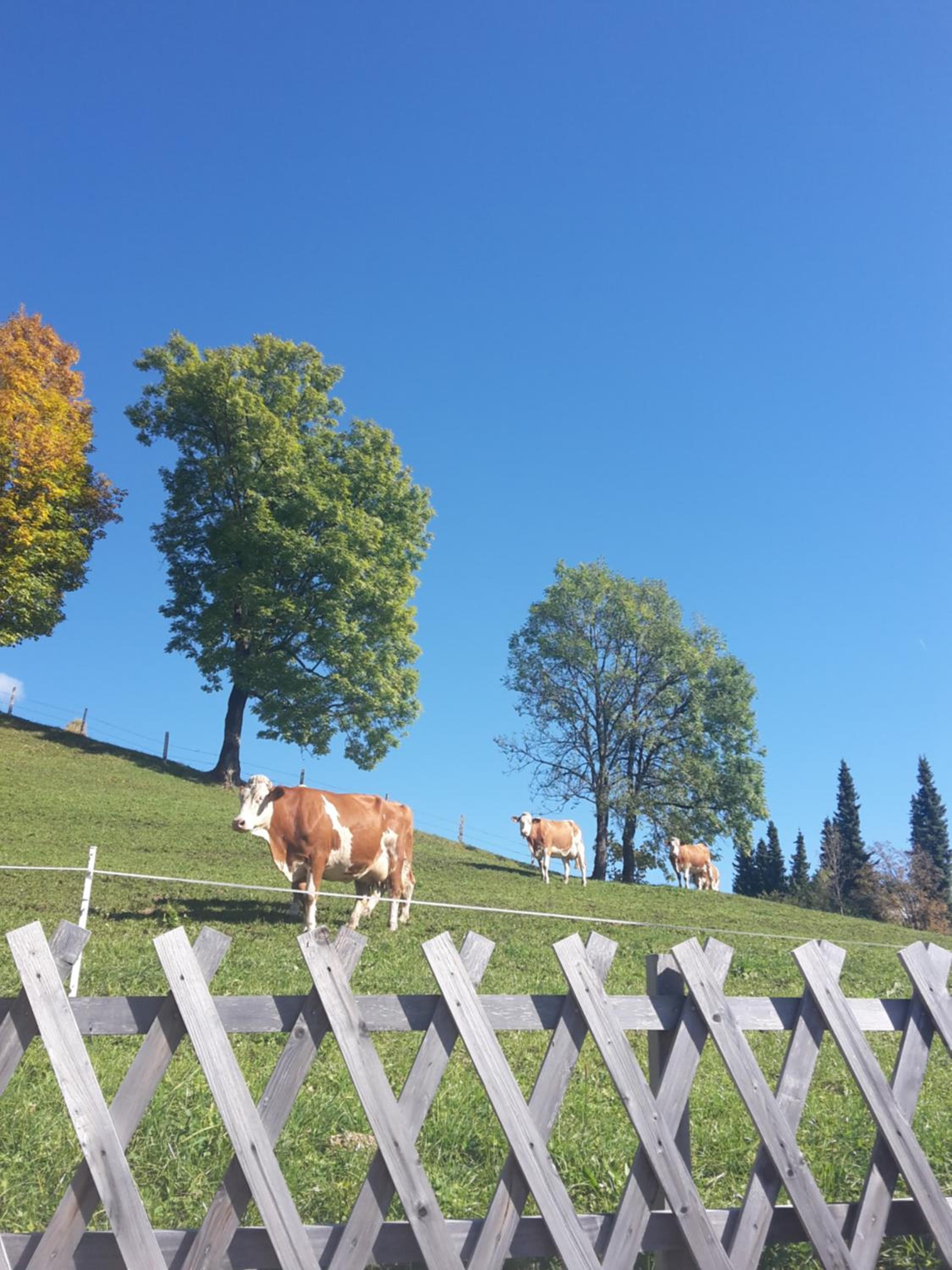 Bergpension-Ebental