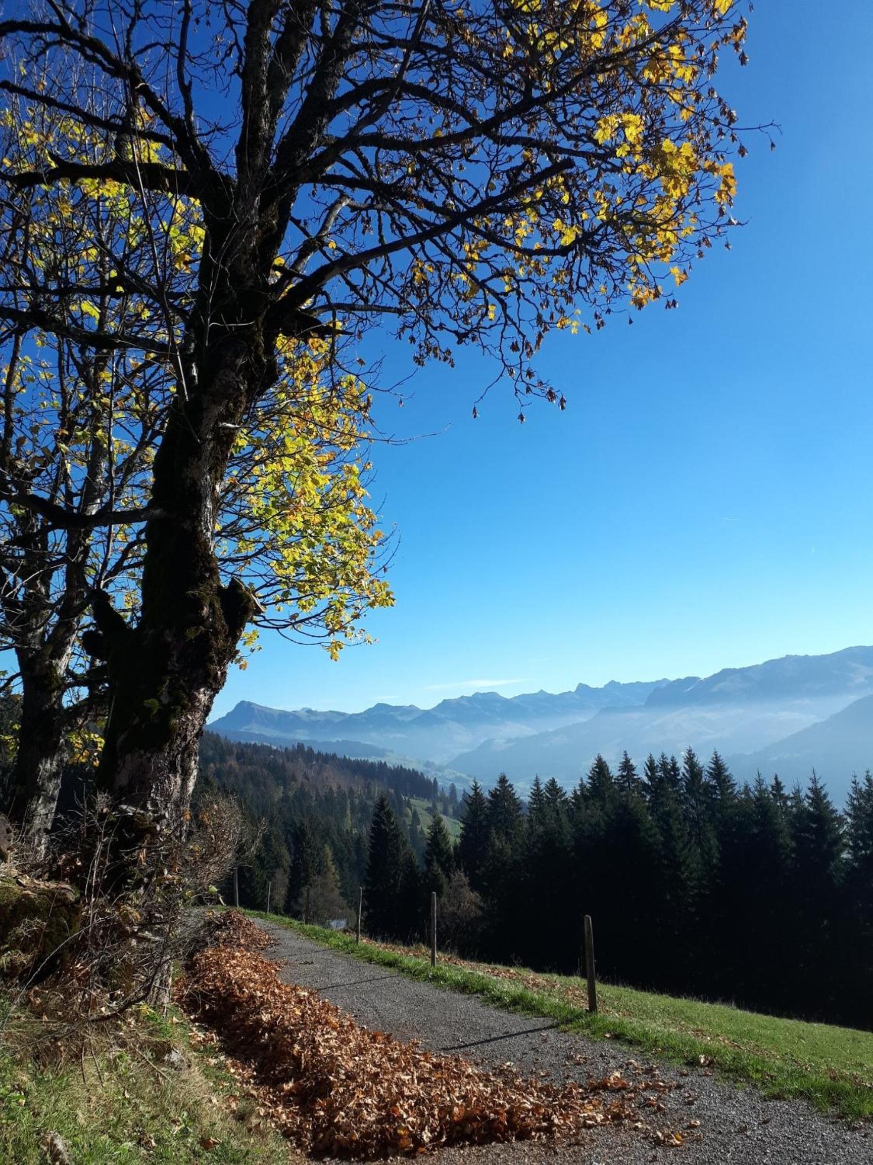 Bergpension-Ebental