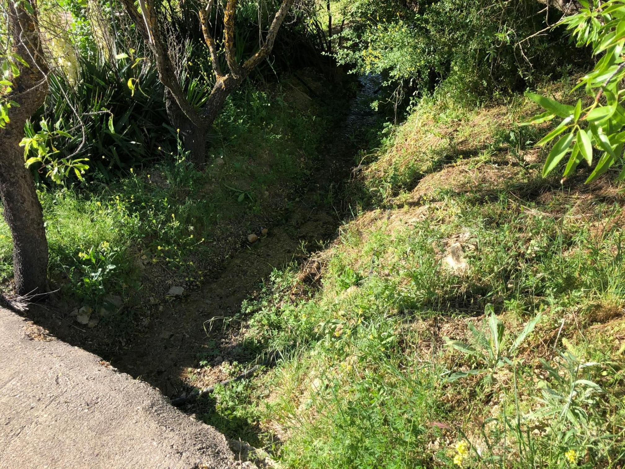 Finca El Gavilán view 4