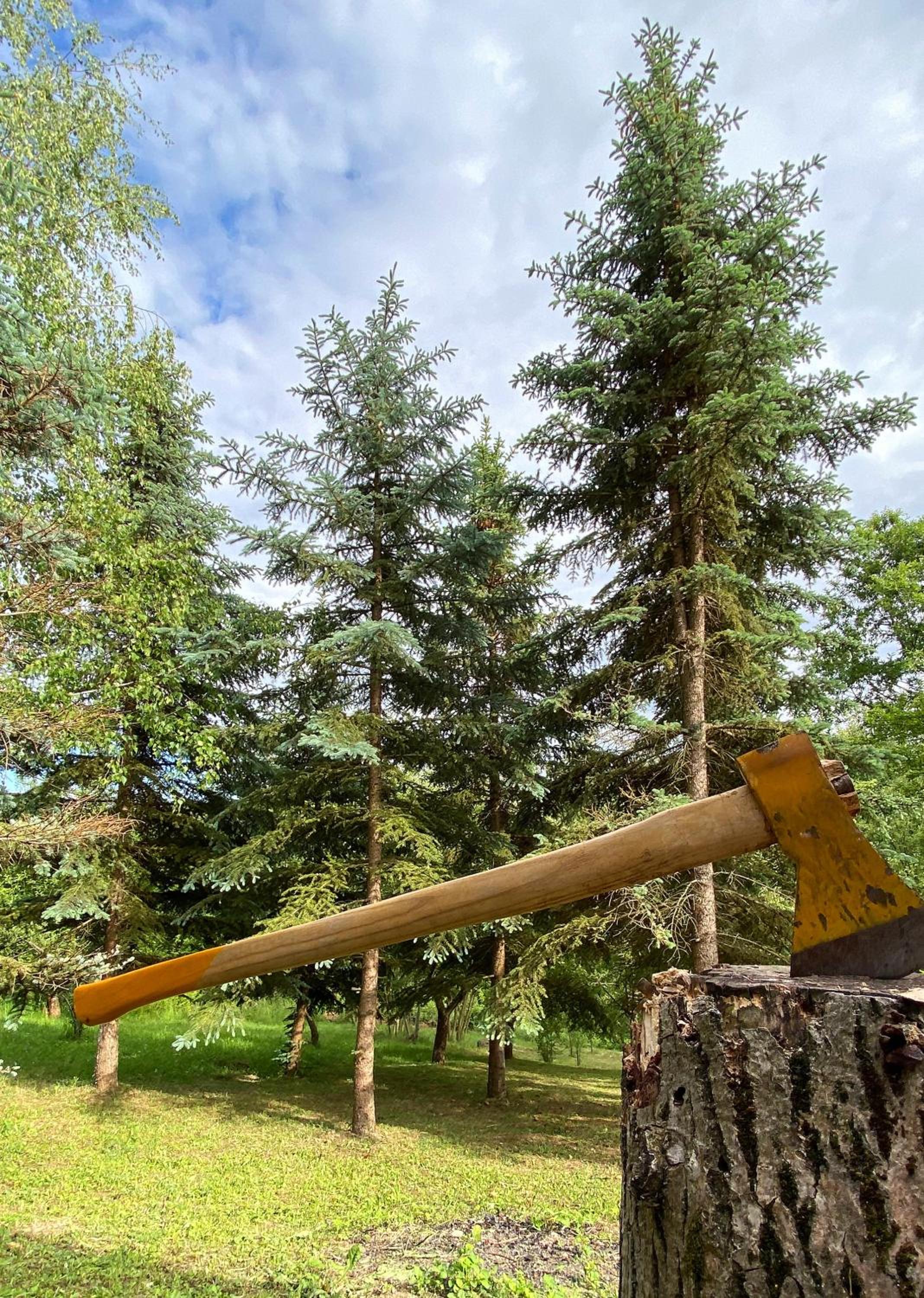 Photo 18