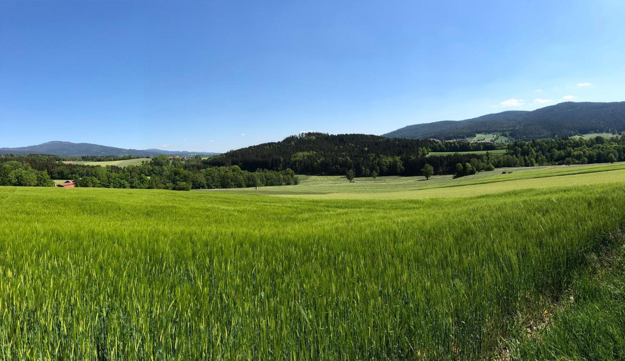 Steinbühler Hof - Stressfrei am Lande