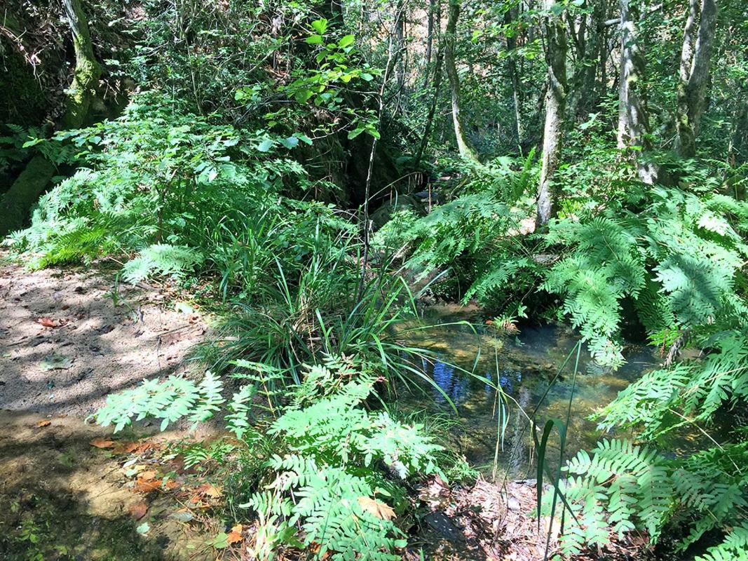 Photo 31