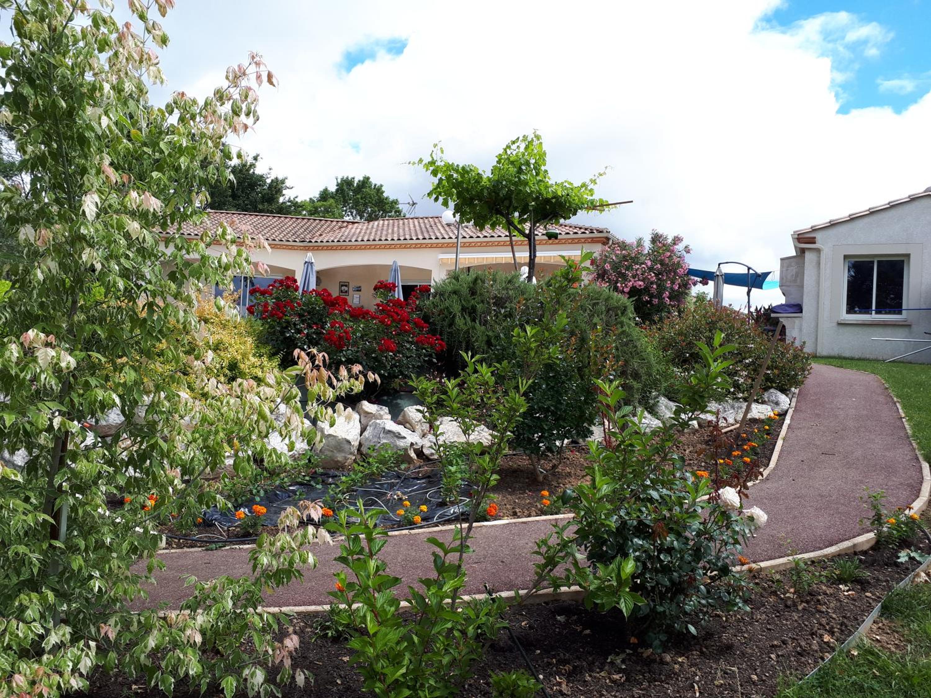 Photo 14