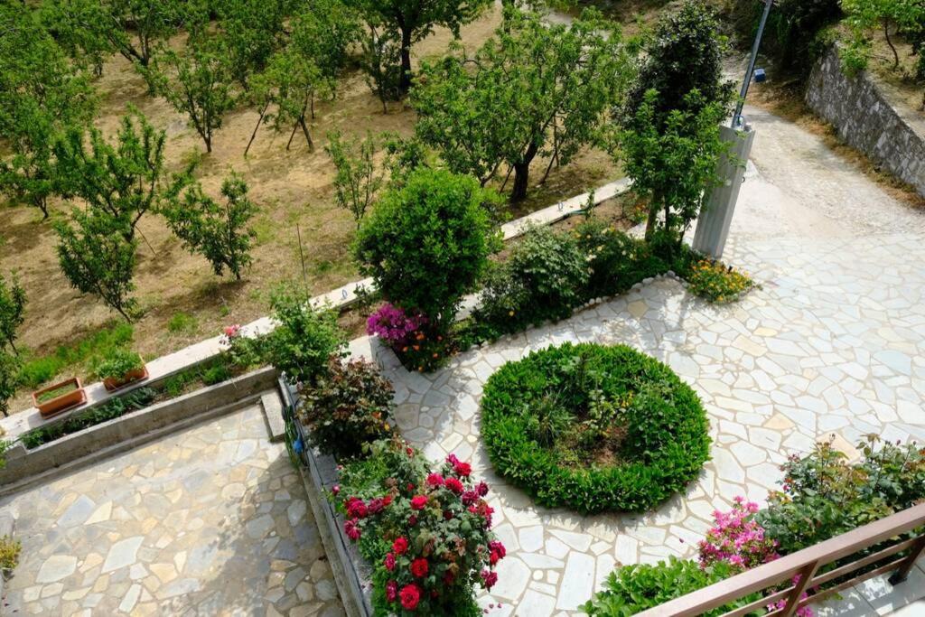 Feels like home apartment in Zagora view 3