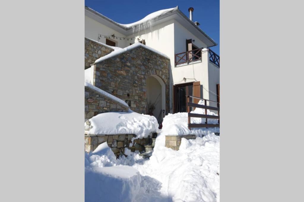 Photo 12